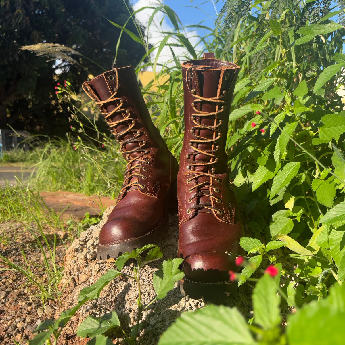 Photo by Apprehensivebootbuyer on April 29, 2026 of the Nicks BuilderProHD in 64 Brown Double Shot.