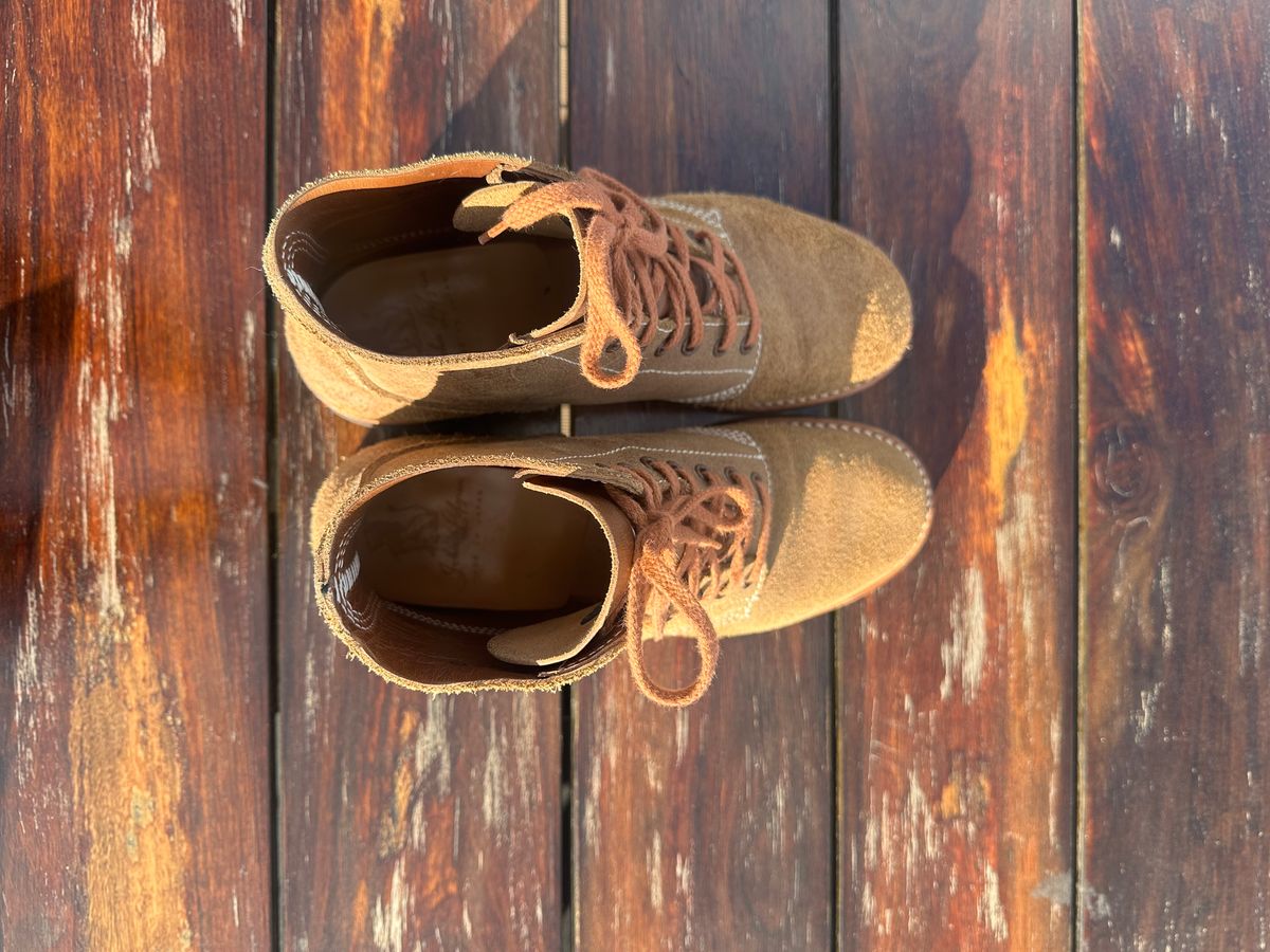 Photo by mynameisntkt on October 5, 2025 of the John Lofgren M-43 Service Shoes in Horween Natural Chromexcel Roughout.