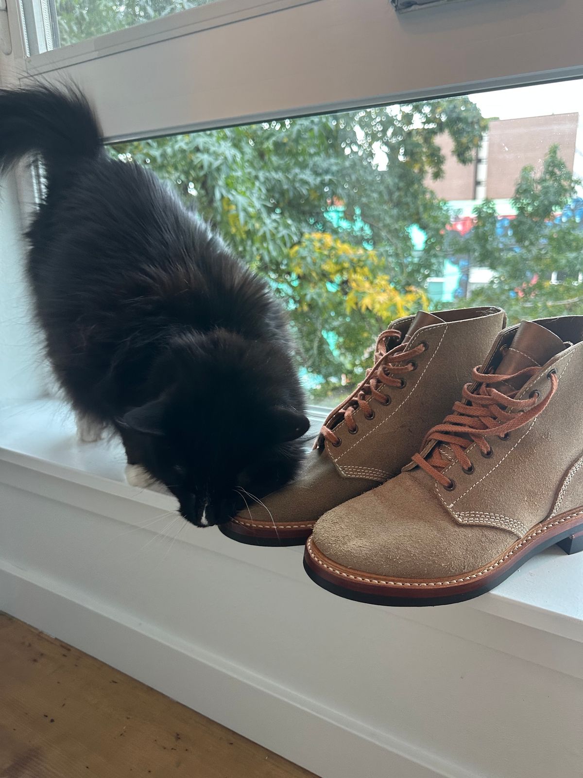 Photo by mynameisntkt on November 3, 2024 of the John Lofgren M-43 Service Shoes in Horween Natural Chromexcel Roughout.