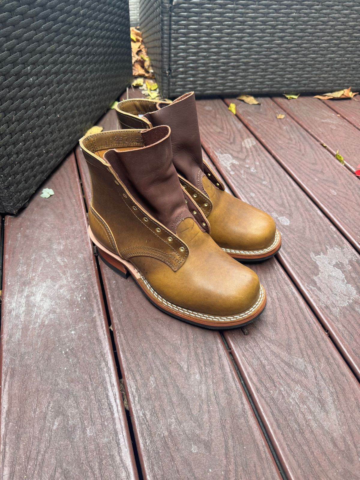 Photo by rioc45 on October 15, 2025 of the Nicks Robert in Gallun Caper Viking Calf.