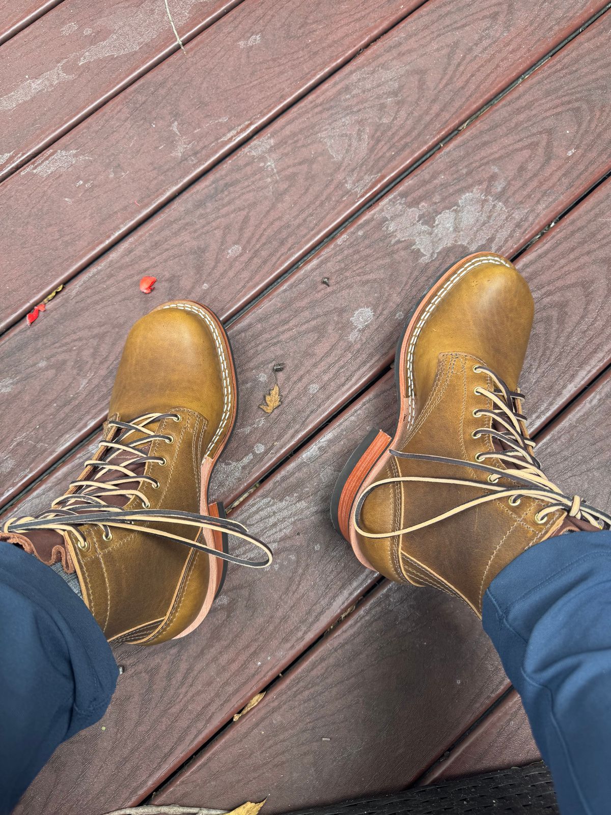 Photo by rioc45 on October 15, 2025 of the Nicks Robert in Gallun Caper Viking Calf.