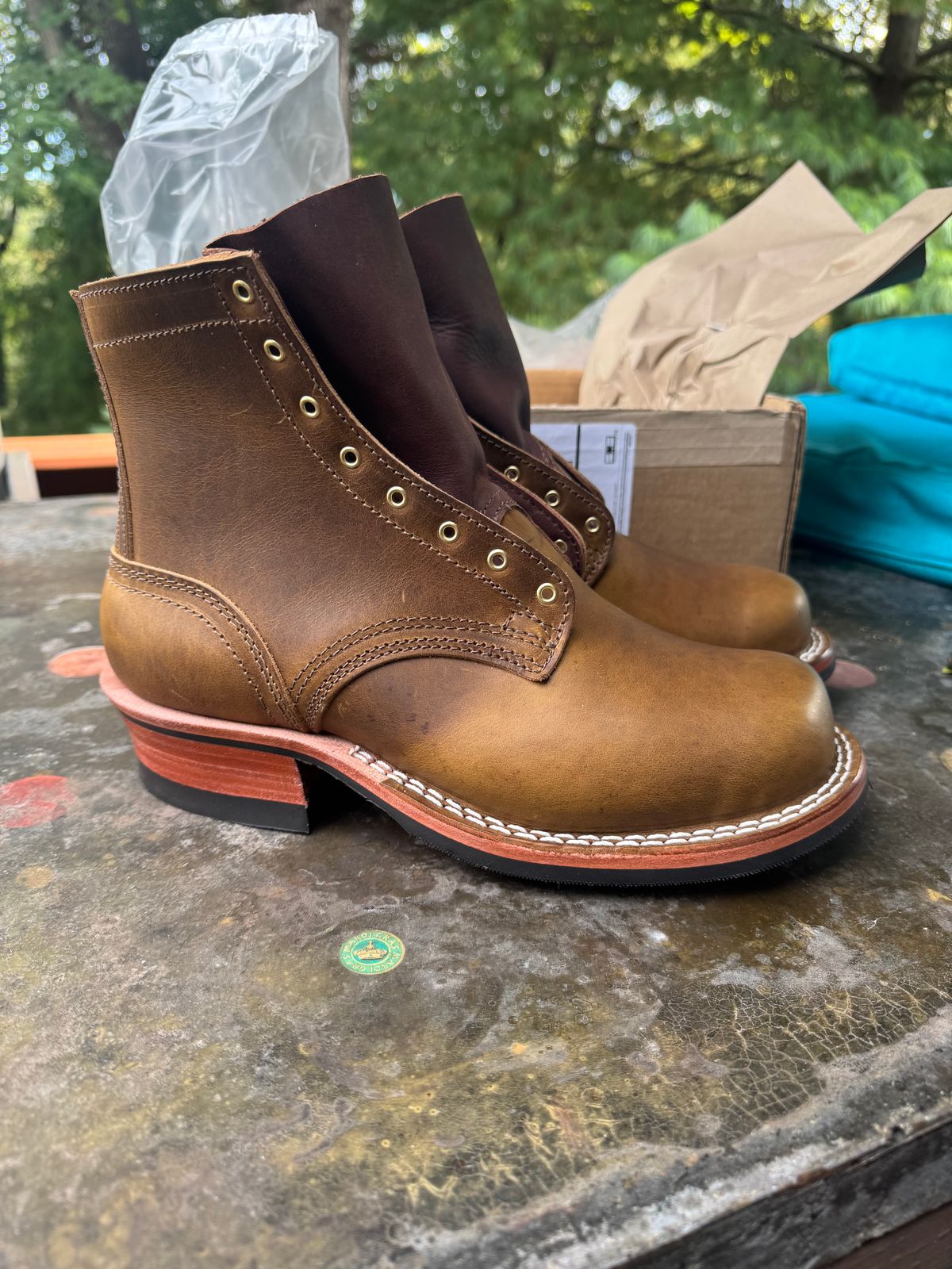 Photo by rioc45 on October 15, 2025 of the Nicks Robert in Gallun Caper Viking Calf.