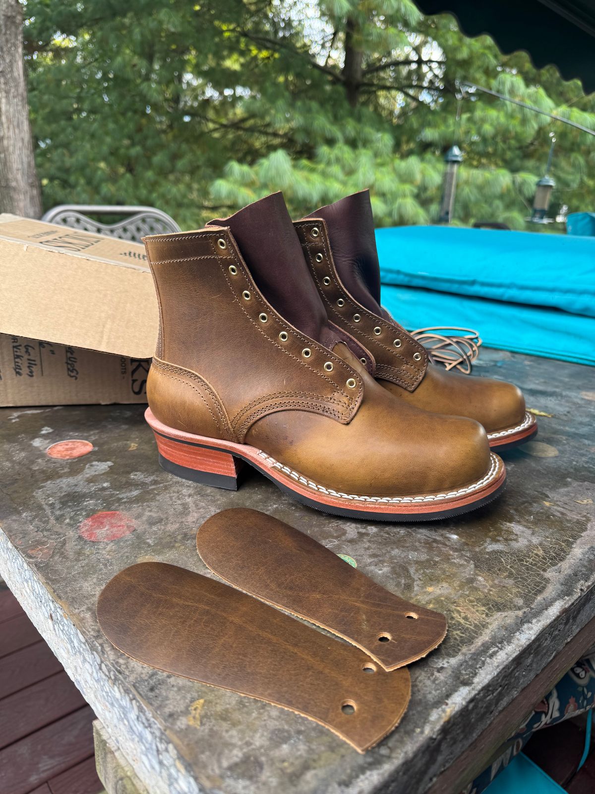 Photo by rioc45 on October 15, 2025 of the Nicks Robert in Gallun Caper Viking Calf.