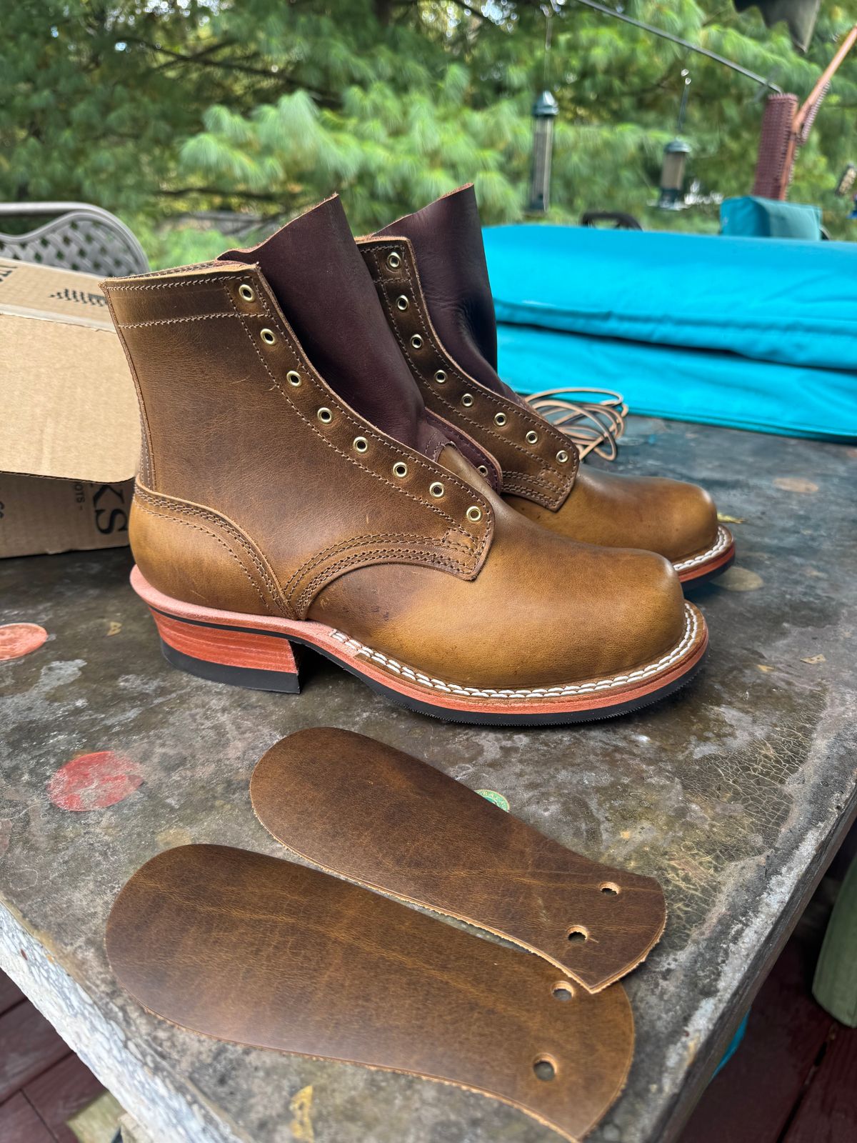 Photo by rioc45 on October 15, 2025 of the Nicks Robert in Gallun Caper Viking Calf.