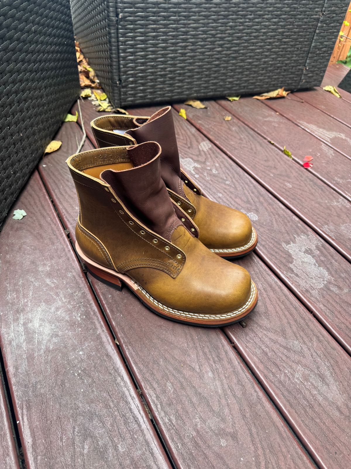 Photo by rioc45 on October 15, 2025 of the Nicks Robert in Gallun Caper Viking Calf.