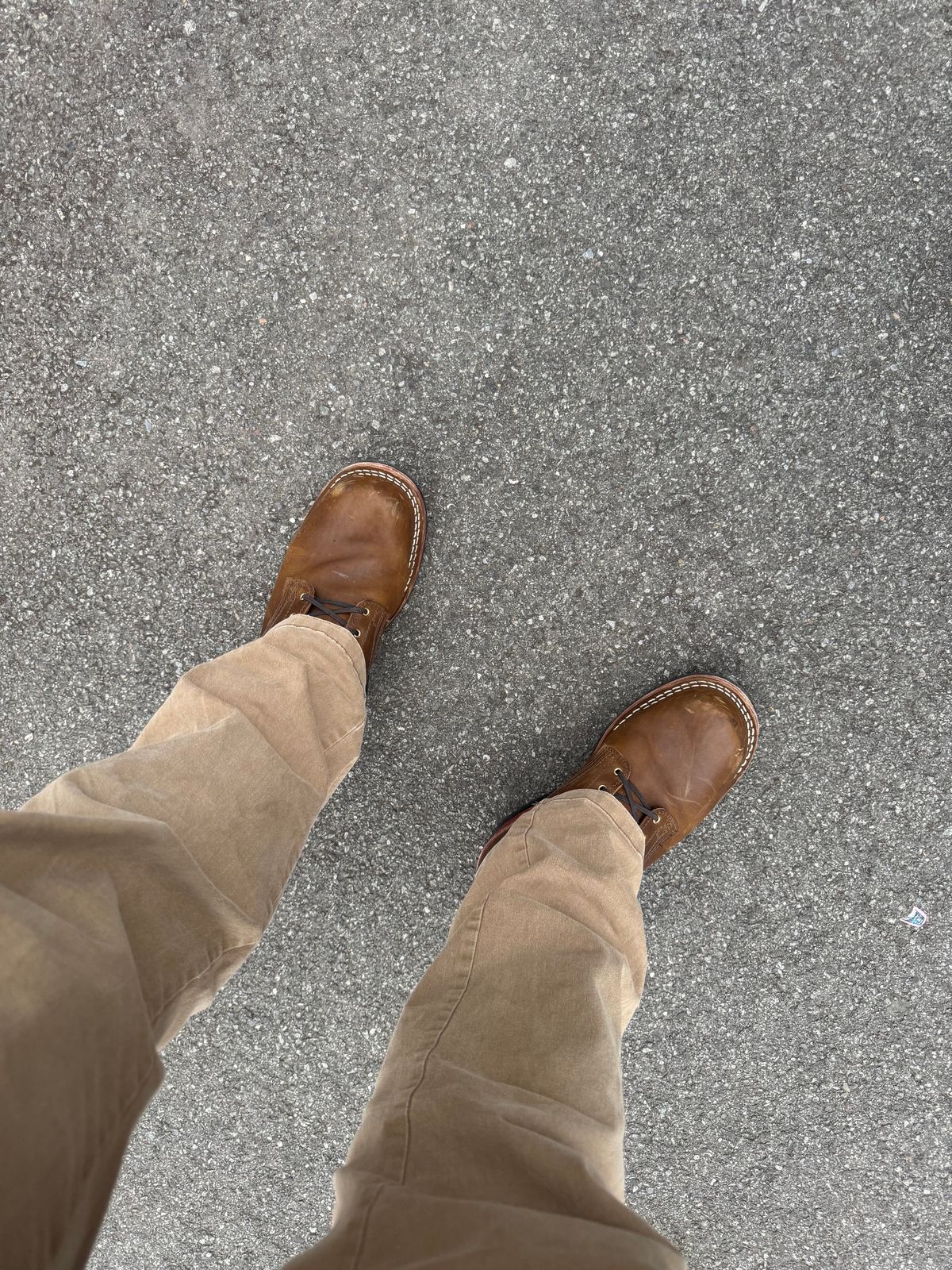 Photo by rioc45 on November 15, 2025 of the Nicks Robert in Gallun Caper Viking Calf.