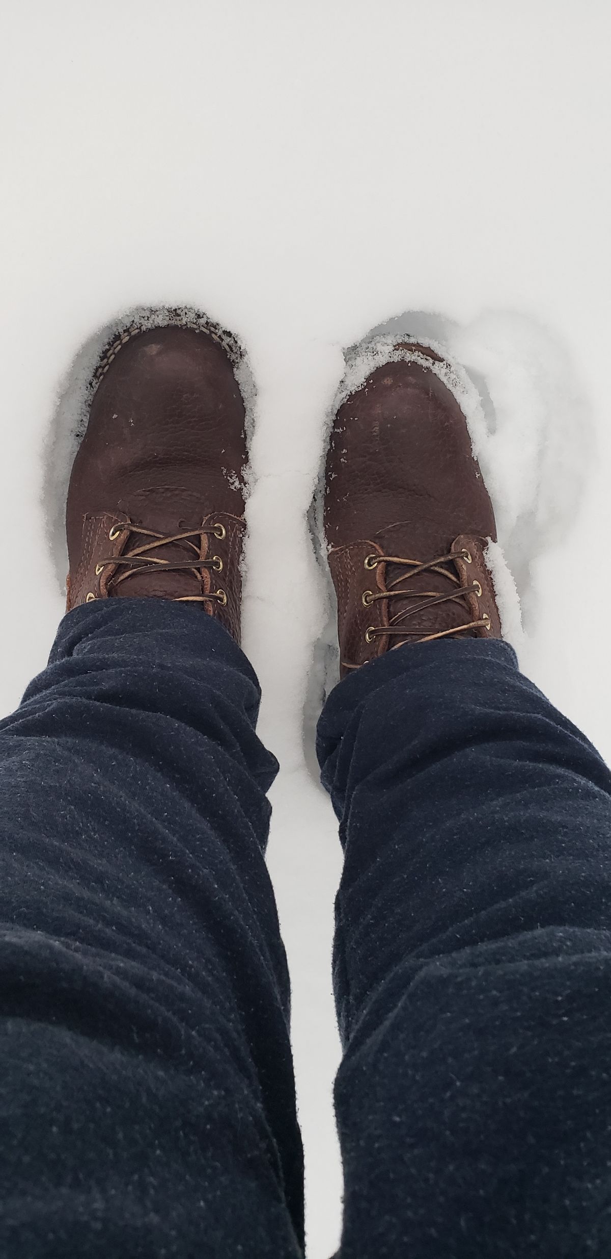 Photo by jclong74 on December 2, 2025 of the Nicks BuilderPro in Nicks Walnut Bullhide.