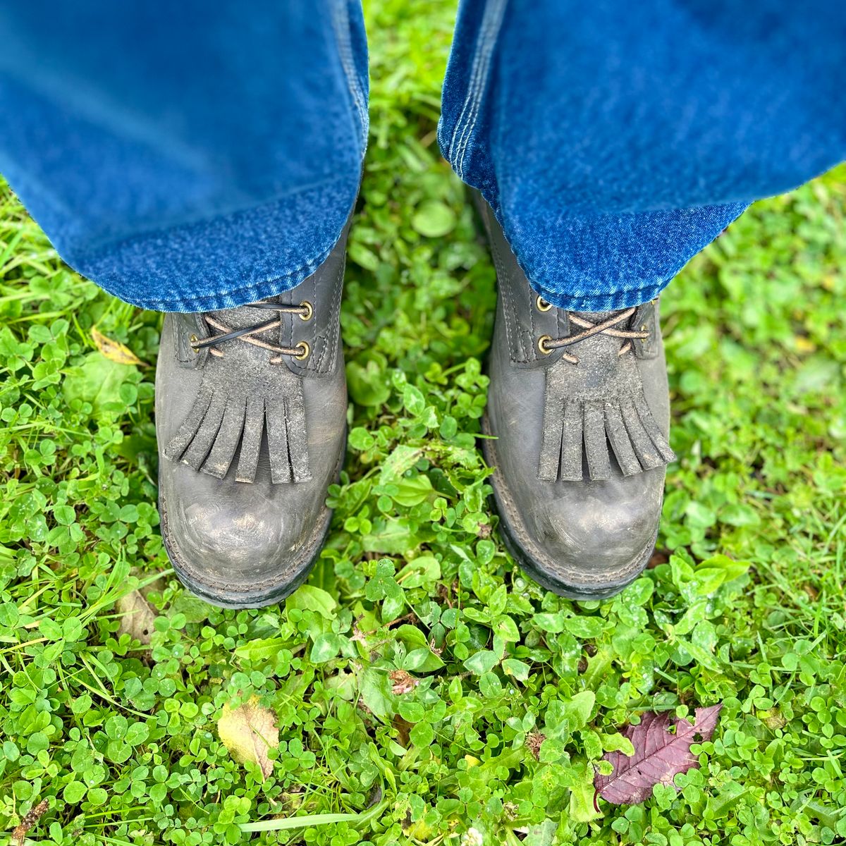 Photo by reedscruggs on November 3, 2024 of the Nicks Prospector in Nicks/Seidel 1964 Gray Smooth.