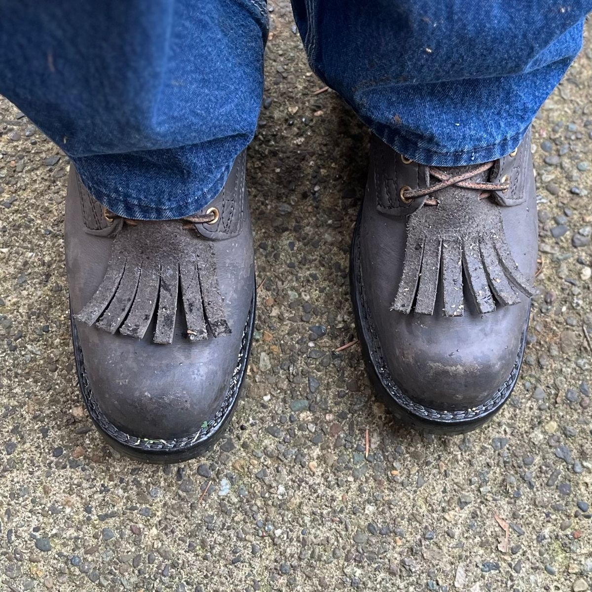 Photo by reedscruggs on November 10, 2024 of the Nicks Prospector in Nicks/Seidel 1964 Gray Smooth.
