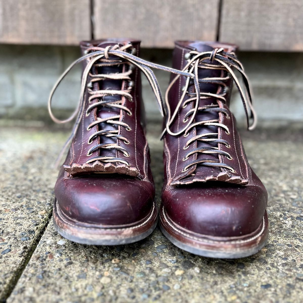 Photo by reedscruggs on November 10, 2024 of the Caswell Boot Company Carver in Wickett & Craig Chestnut Oiled Latigo.