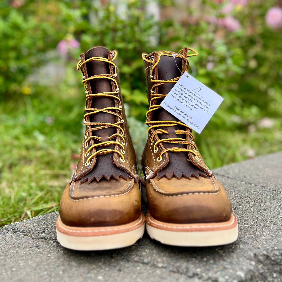 Photo by boot_loon on October 1, 2025 of the White's Perry 8" in Brown Distress.