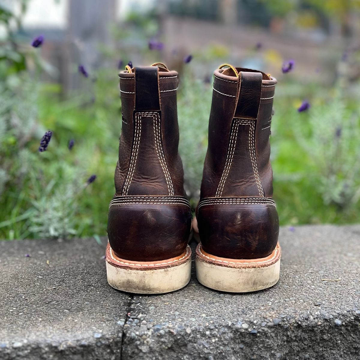 Photo by boot_loon on November 4, 2025 of the White's Perry 8" in Brown Distress.