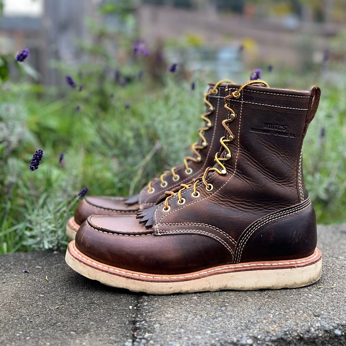 Photo by boot_loon on November 4, 2025 of the White's Perry 8" in Brown Distress.