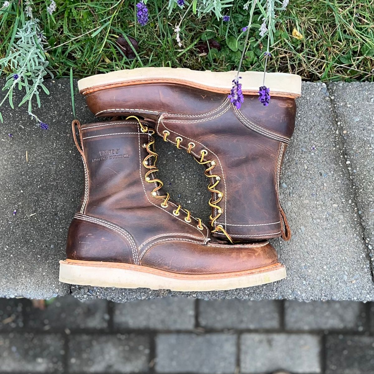 Photo by boot_loon on November 4, 2025 of the White's Perry 8" in Brown Distress.