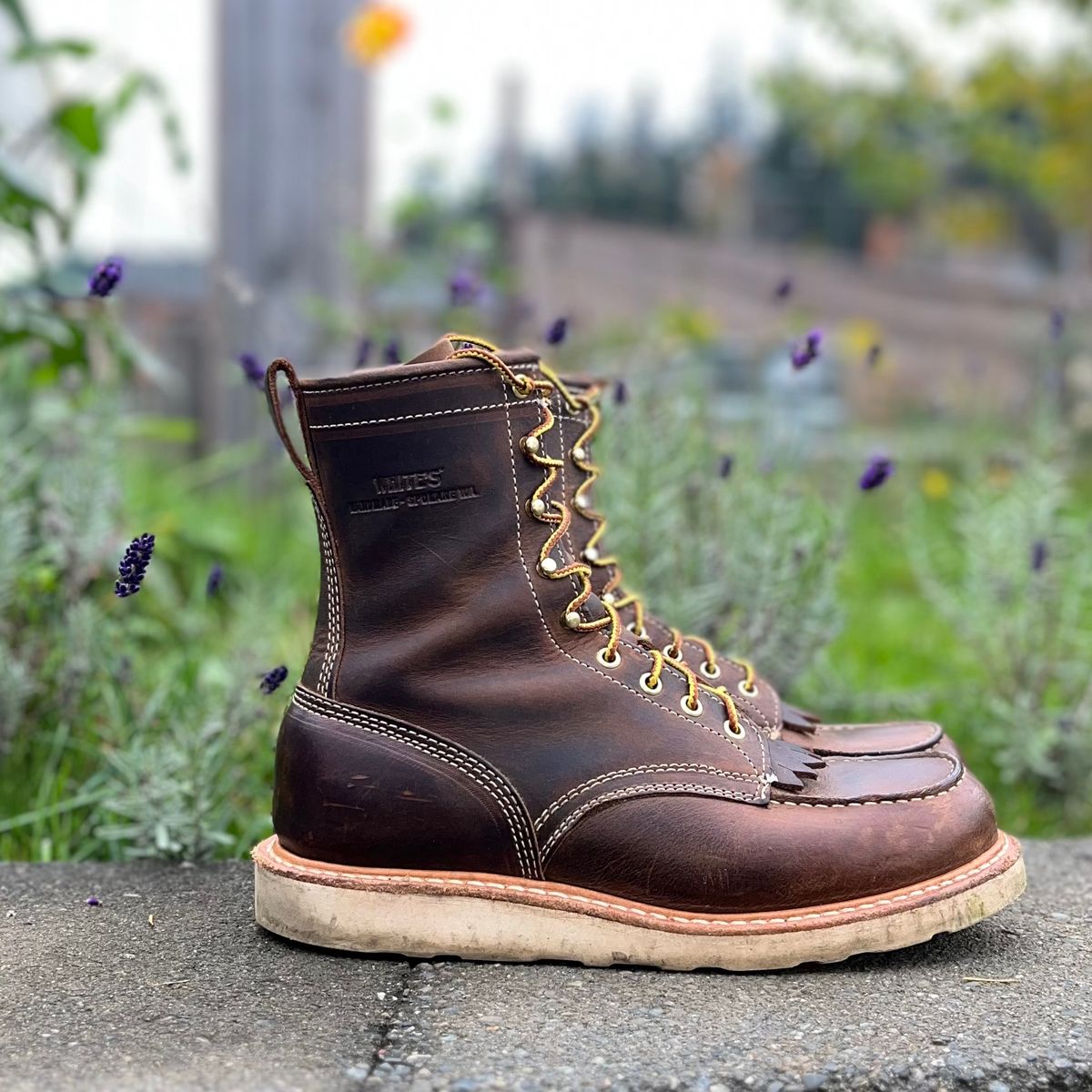 Photo by boot_loon on November 4, 2025 of the White's Perry 8" in Brown Distress.