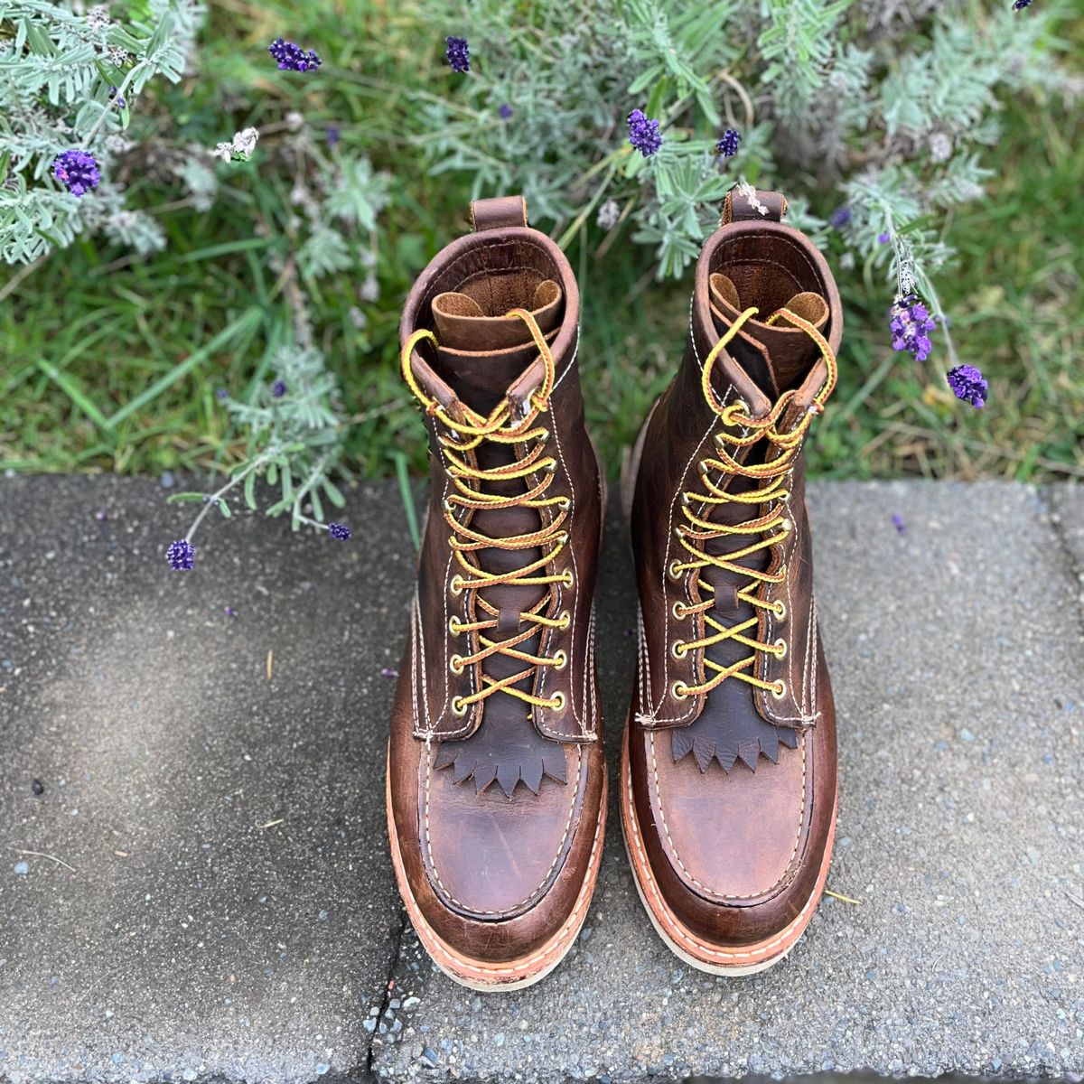 Photo by boot_loon on November 4, 2025 of the White's Perry 8" in Brown Distress.