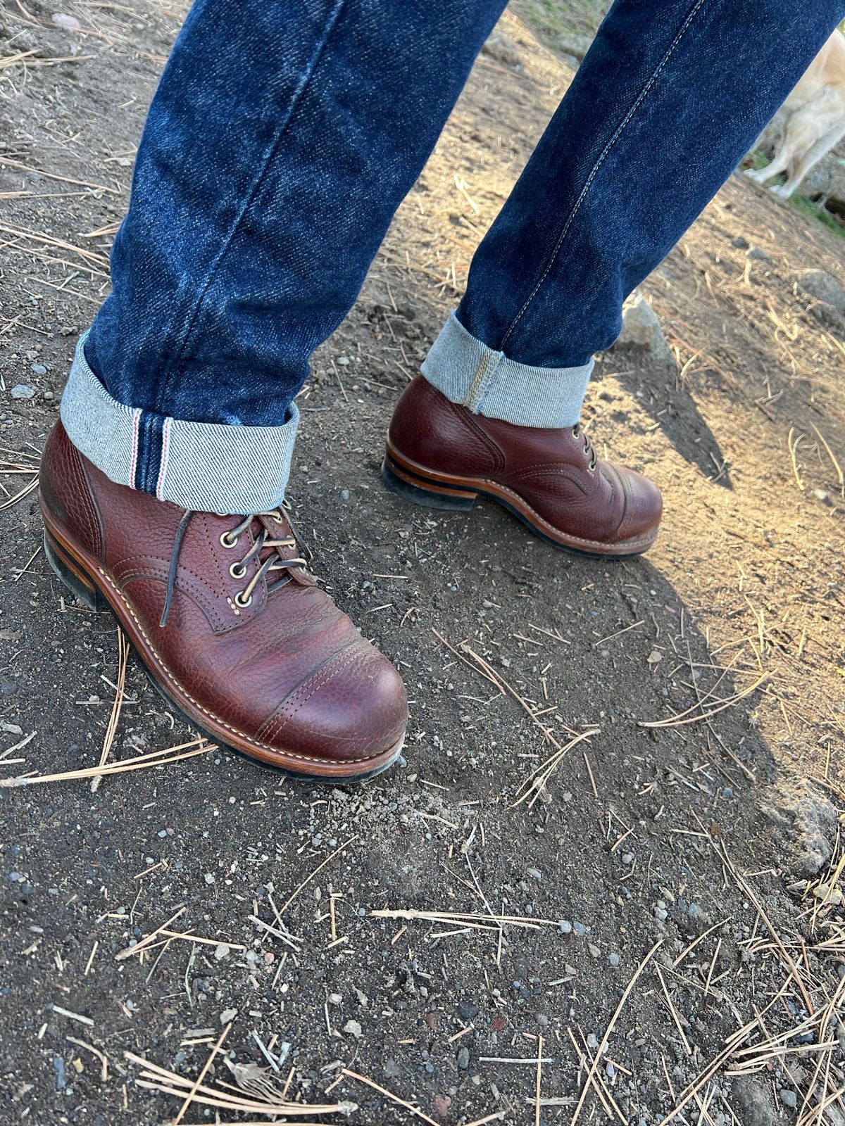 Photo by TelemarkTumalo on February 1, 2026 of the Kustom Kraft Model 1 in Kobel Russet Harness.