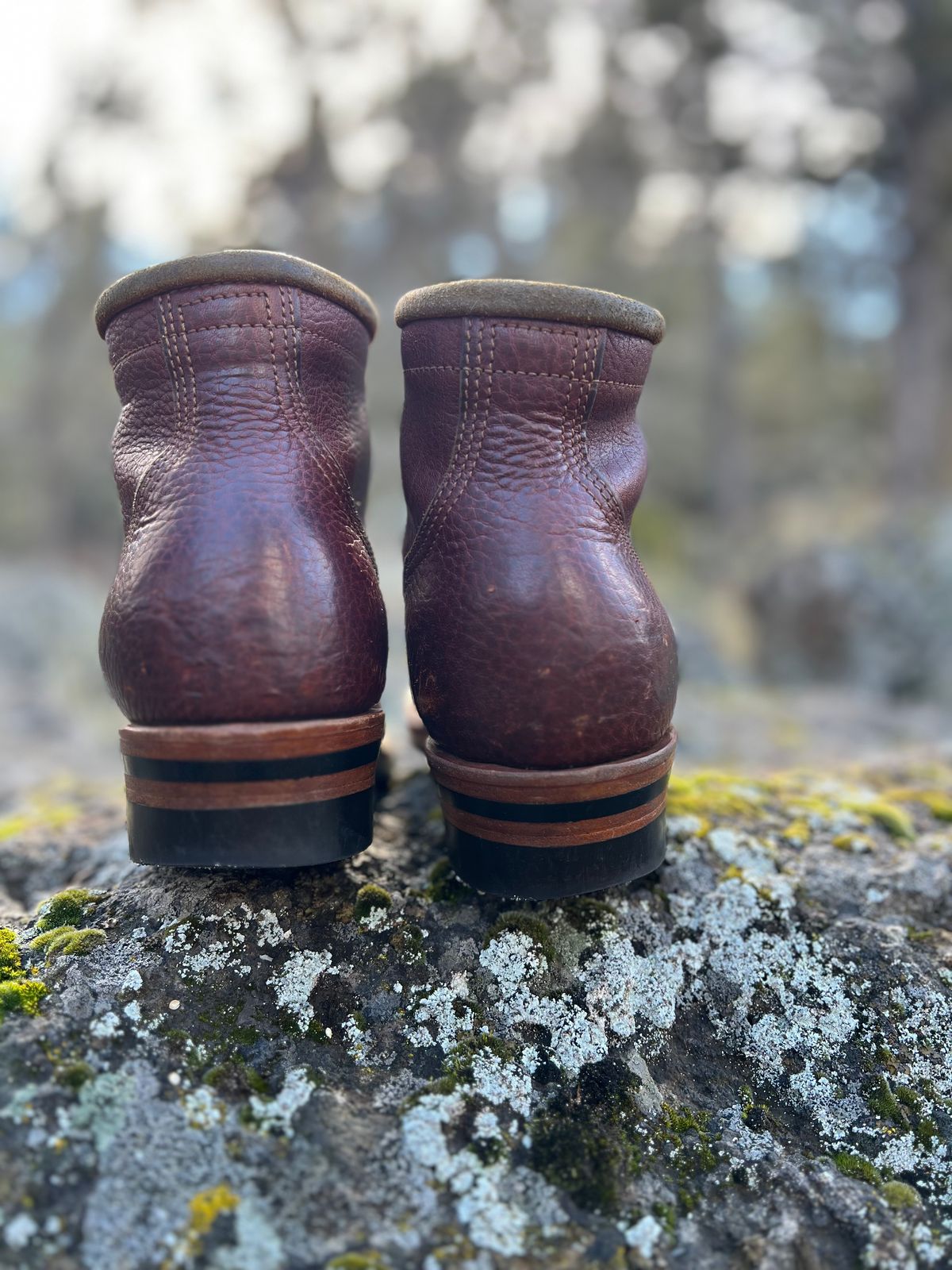 Photo by TelemarkTumalo on March 2, 2026 of the Kustom Kraft Model 1 in Kobel Russet Harness.