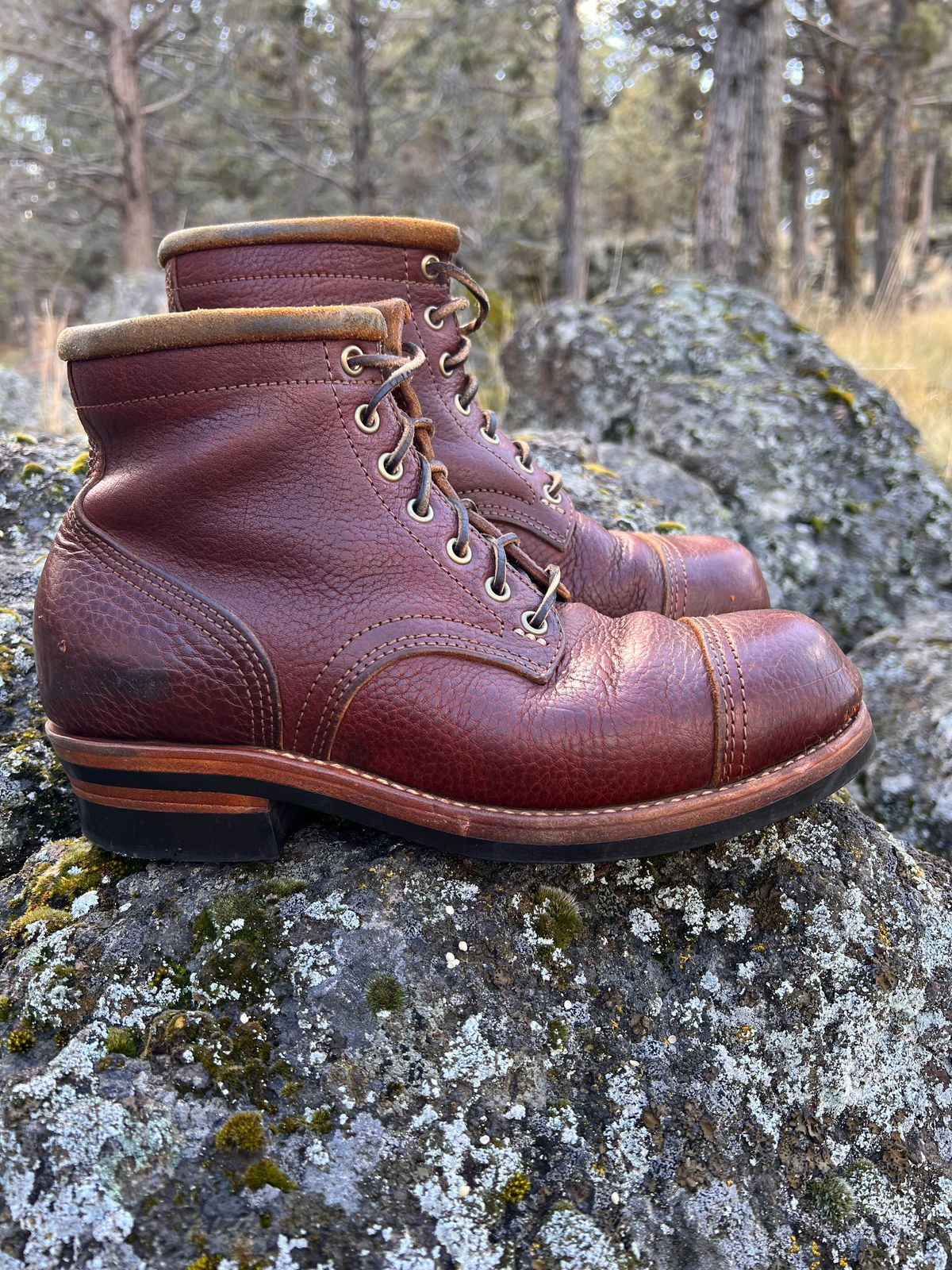 Photo by TelemarkTumalo on March 2, 2026 of the Kustom Kraft Model 1 in Kobel Russet Harness.