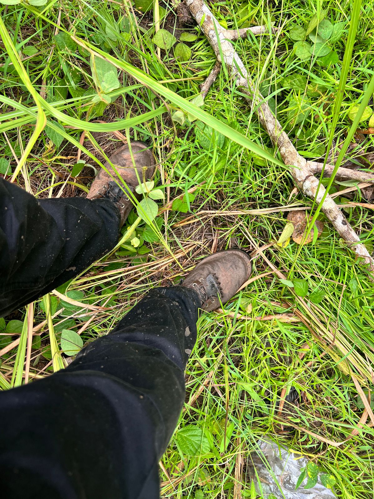 Photo by butcheredman on August 13, 2025 of the Nicks BuilderPro in Seidel 1964 Brown & Seidel 1964 Brown Roughout.