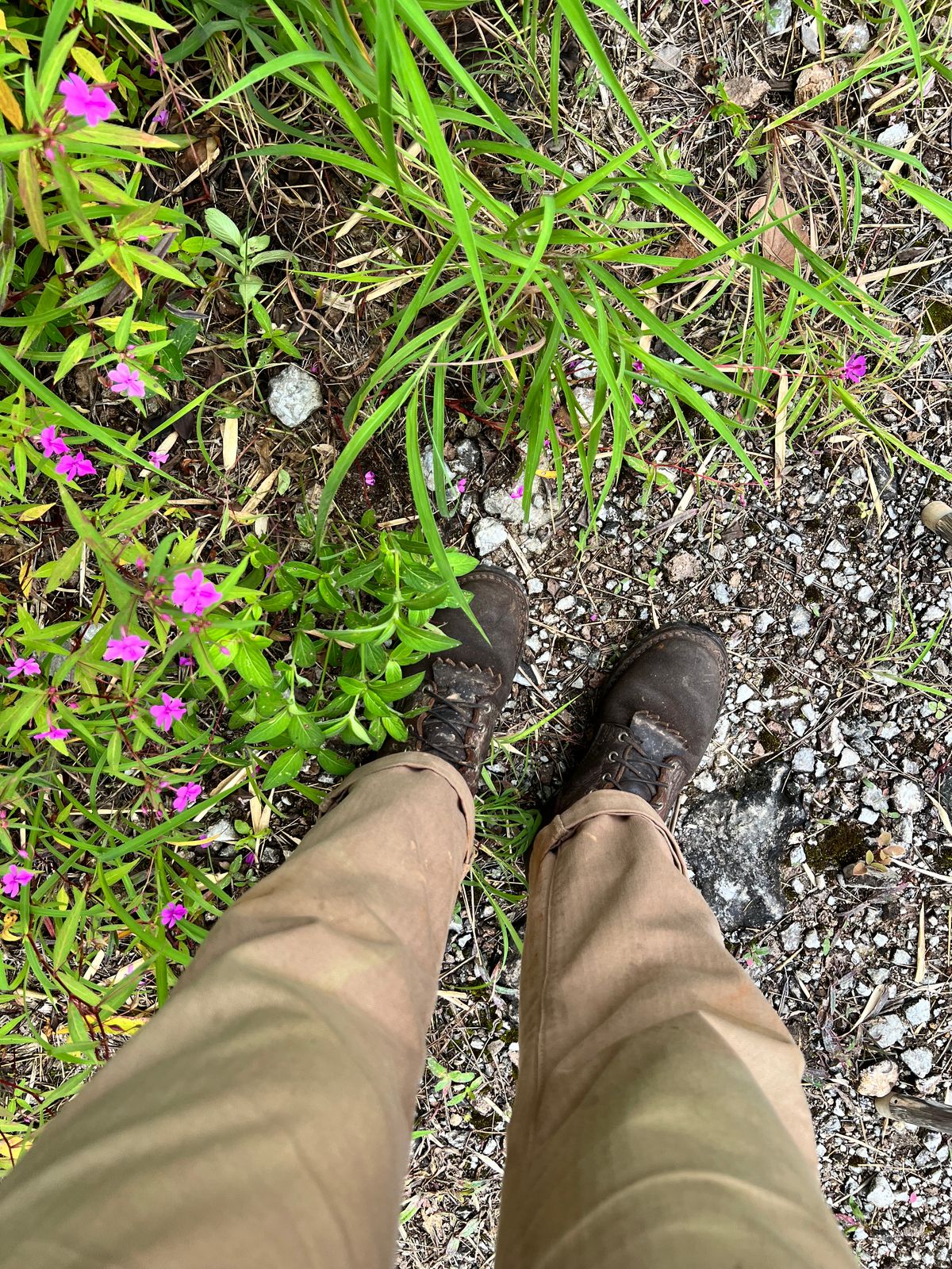Photo by butcheredman on August 22, 2025 of the Nicks BuilderPro in Seidel 1964 Brown & Seidel 1964 Brown Roughout.