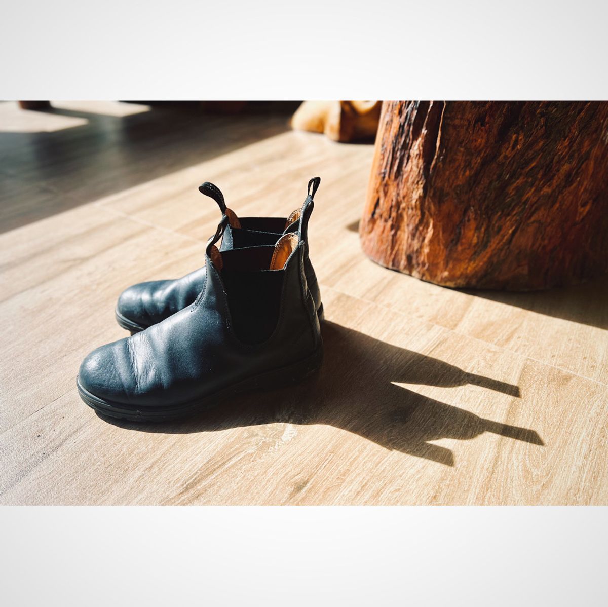 Photo by butcheredman on September 8, 2024 of the Blundstone Classic in Blundstone / Navy.