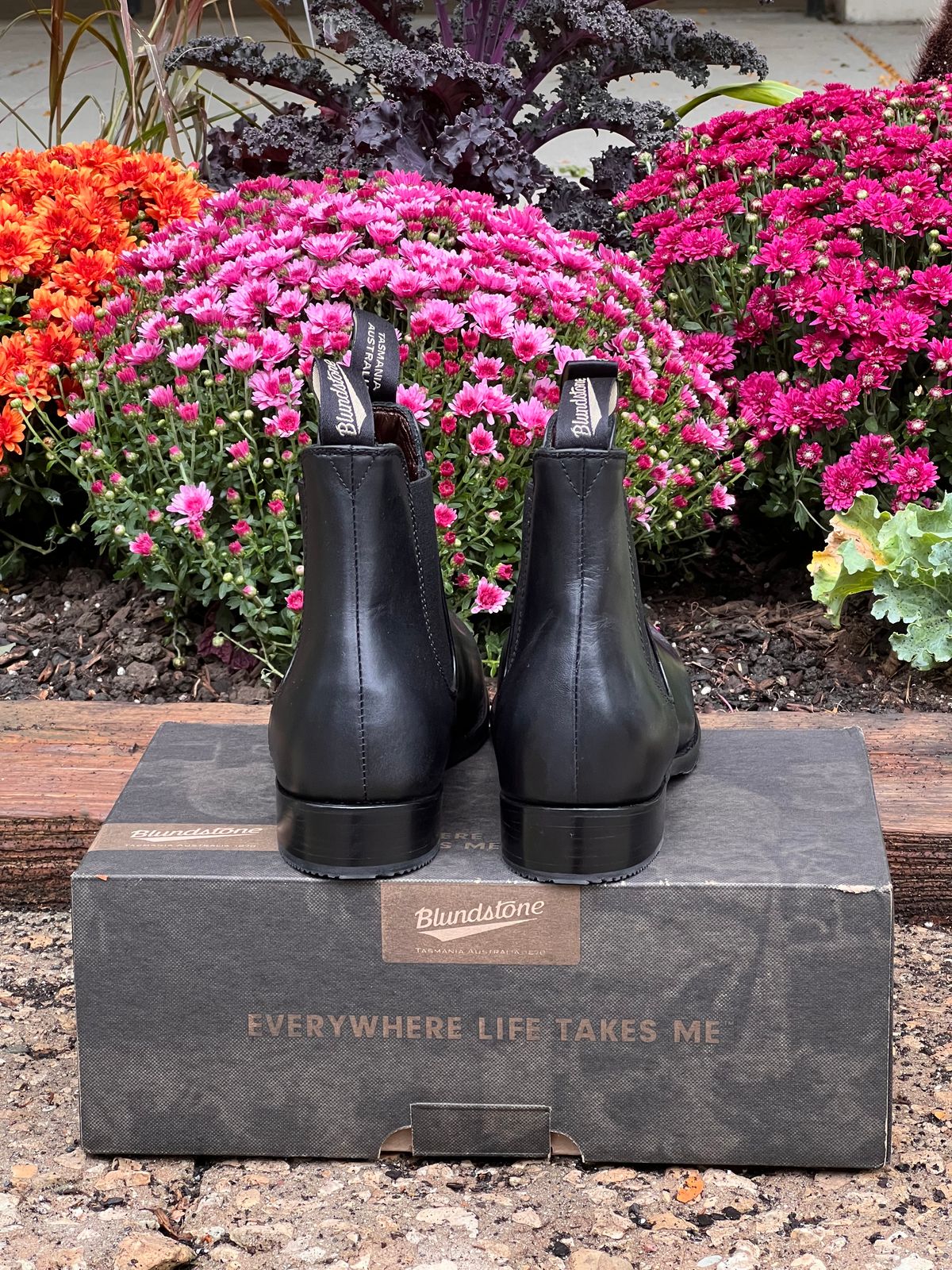 Photo by staphyloco on October 4, 2024 of the Blundstone Dress in Black.