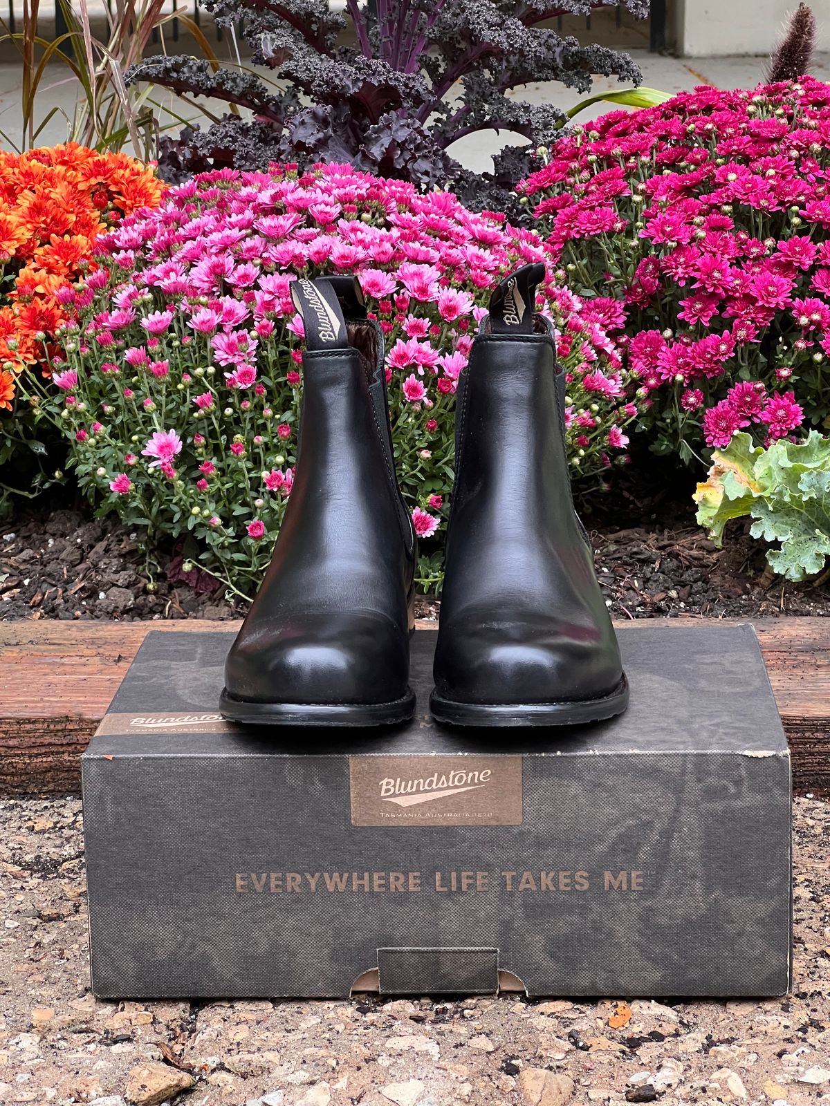 Photo by staphyloco on October 4, 2024 of the Blundstone Dress in Black.