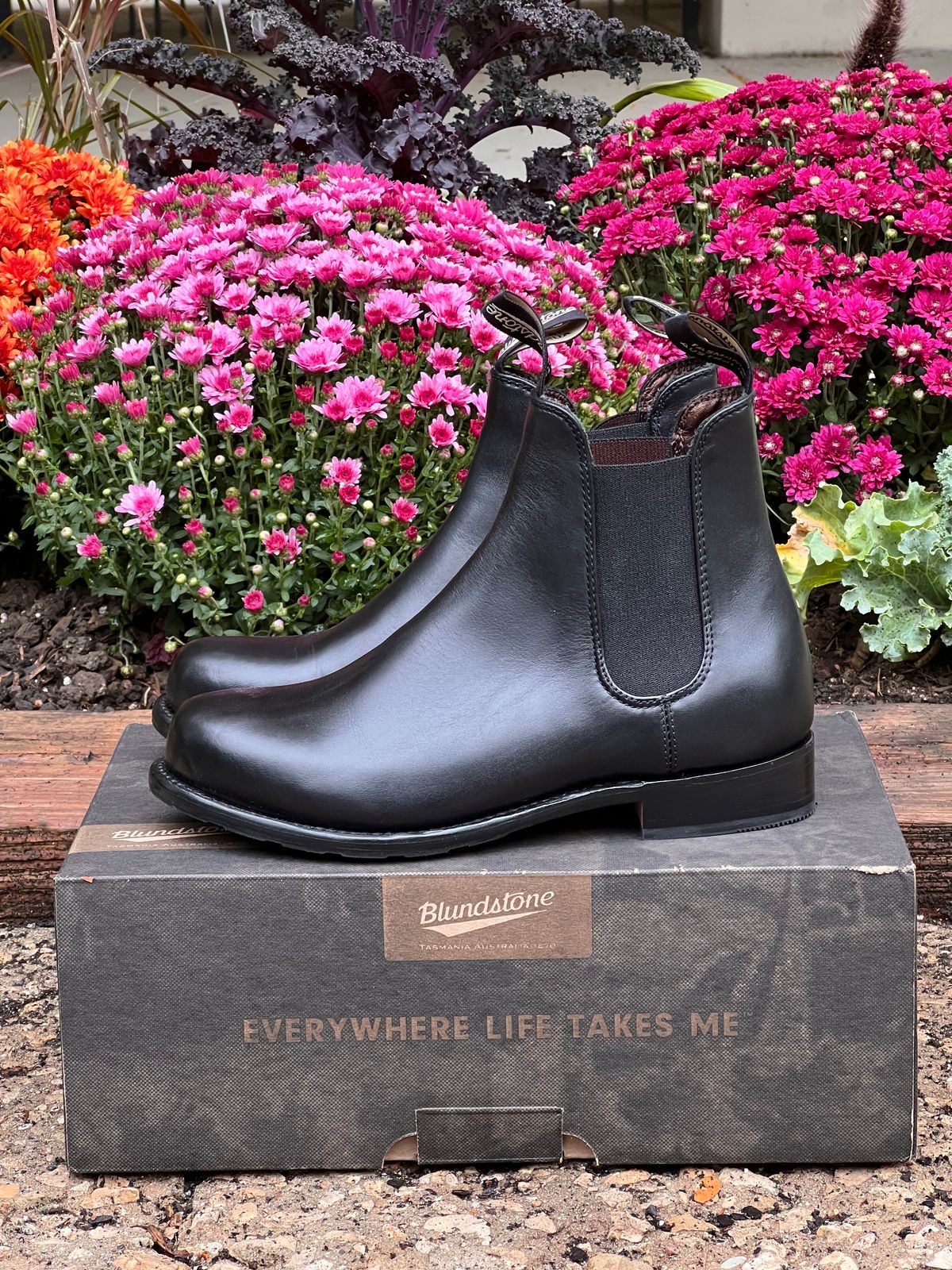 Photo by staphyloco on October 4, 2024 of the Blundstone Dress in Black.