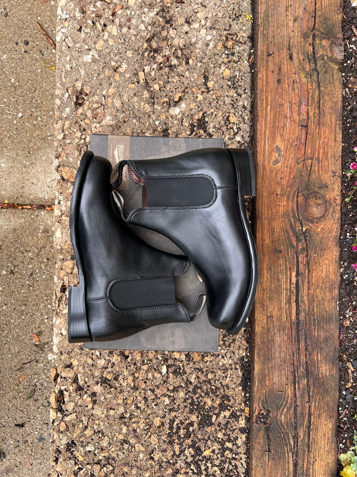 Photo by staphyloco on October 4, 2024 of the Blundstone Dress in Black.