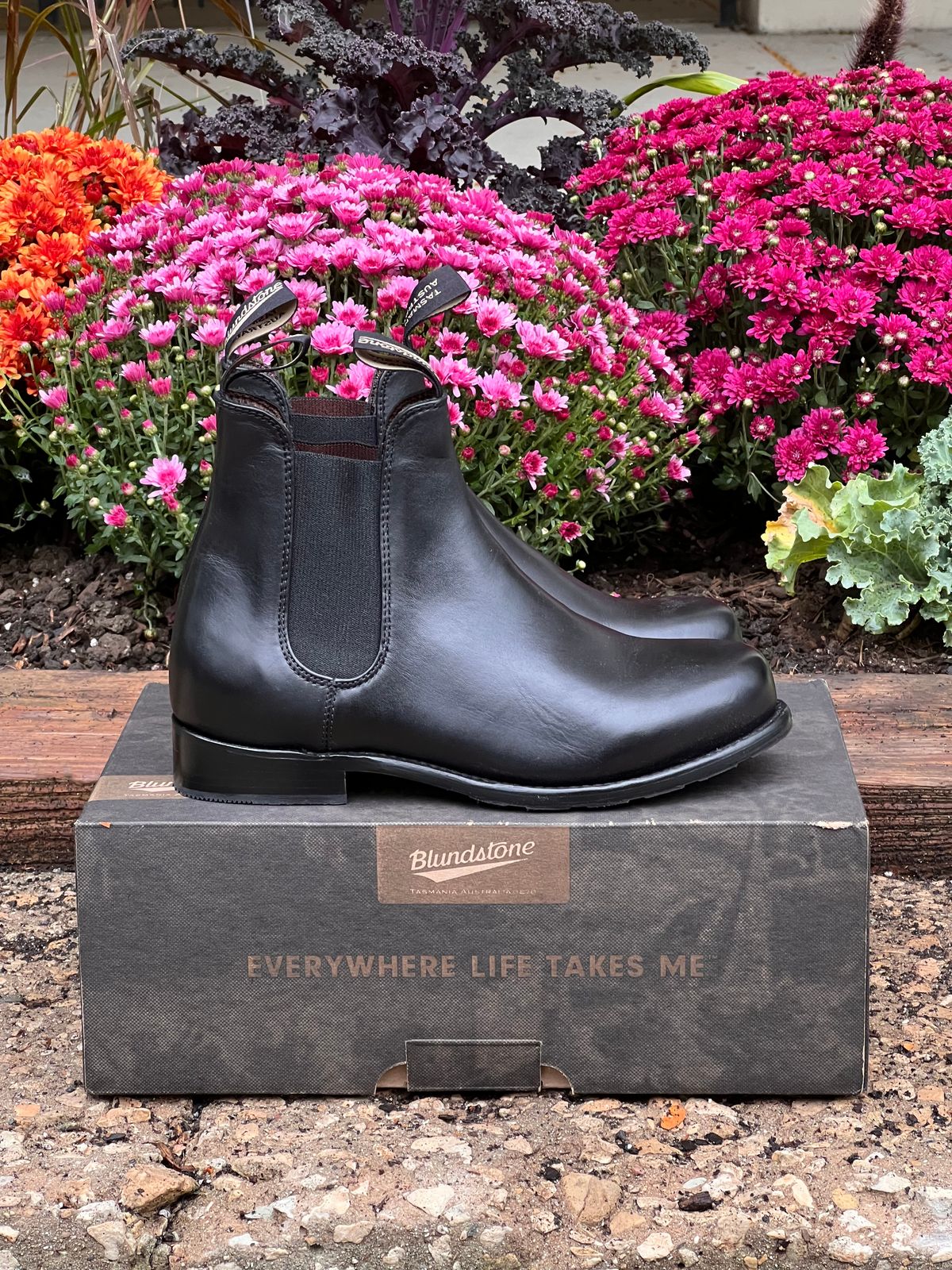 Photo by staphyloco on October 4, 2024 of the Blundstone Dress in Black.