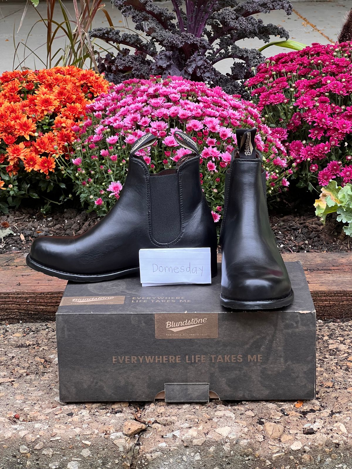 Photo by staphyloco on October 4, 2024 of the Blundstone Dress in Black.