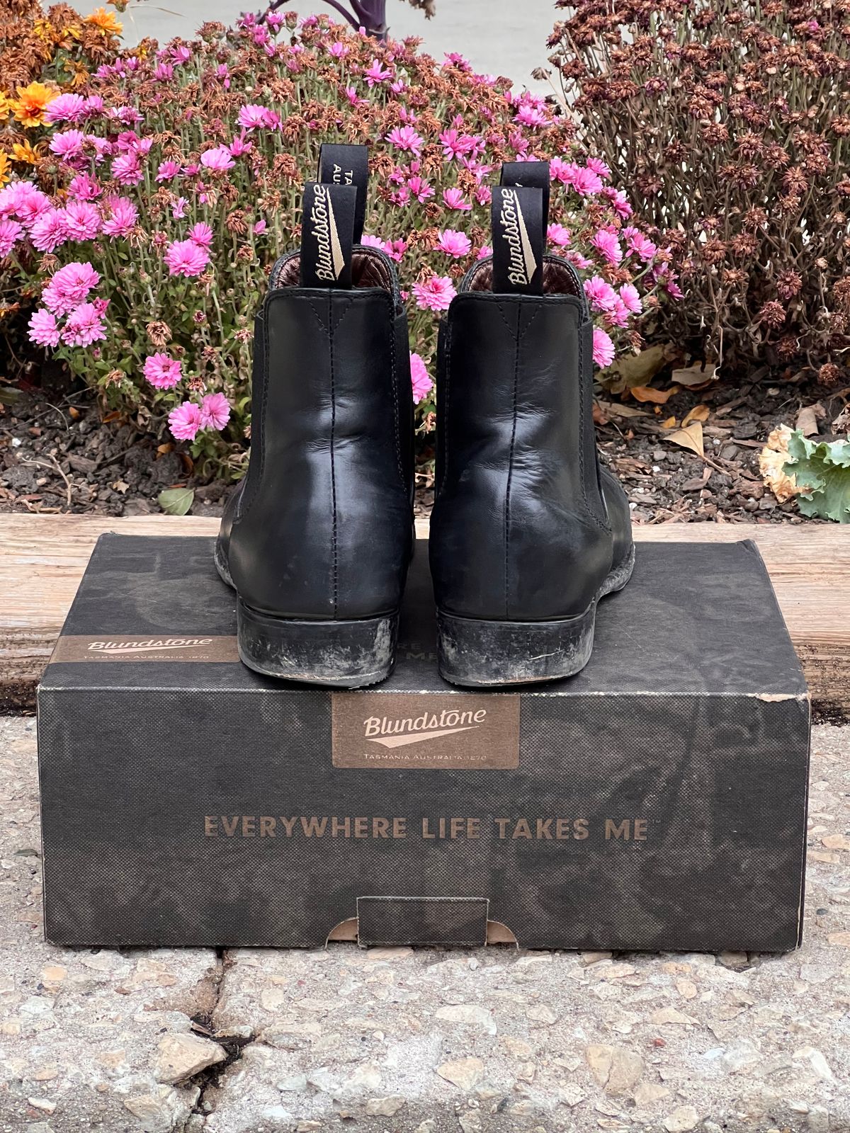 Photo by staphyloco on November 3, 2024 of the Blundstone Dress in Black.