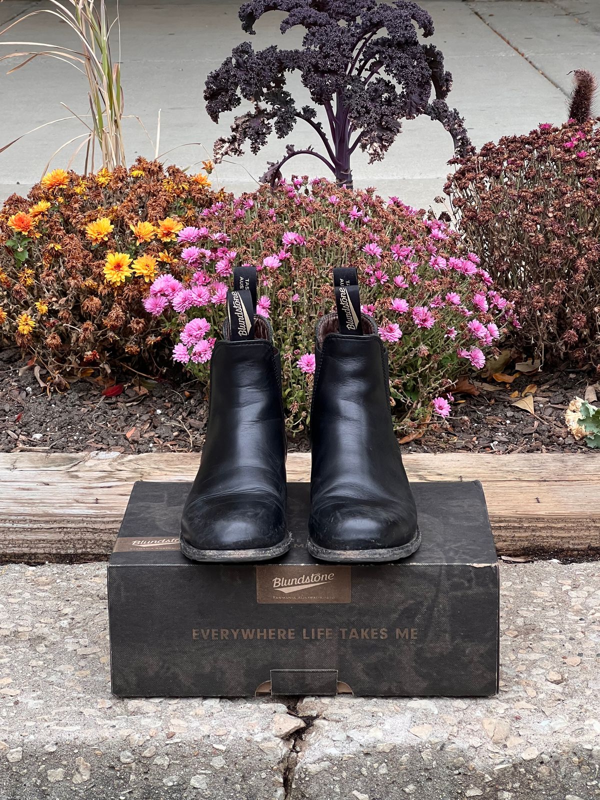 Photo by staphyloco on November 3, 2024 of the Blundstone Dress in Black.