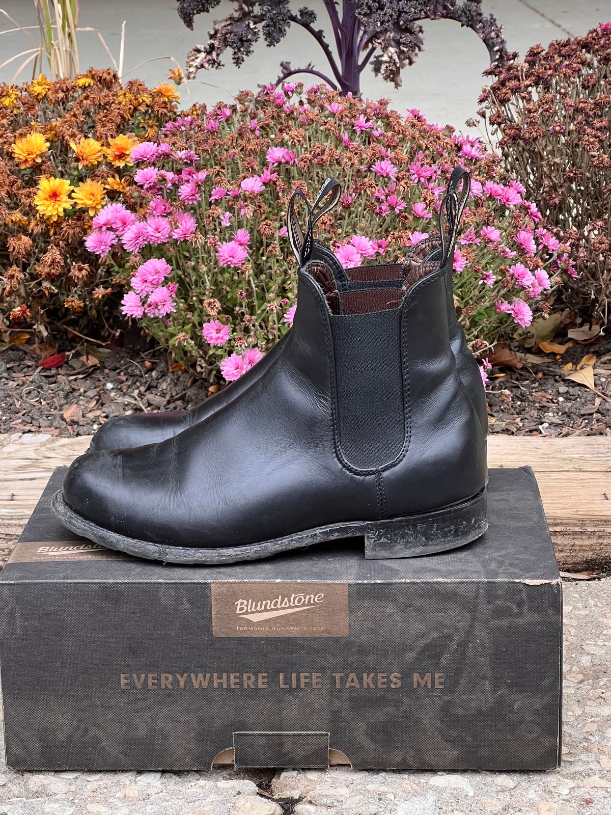 Photo by staphyloco on November 3, 2024 of the Blundstone Dress in Black.