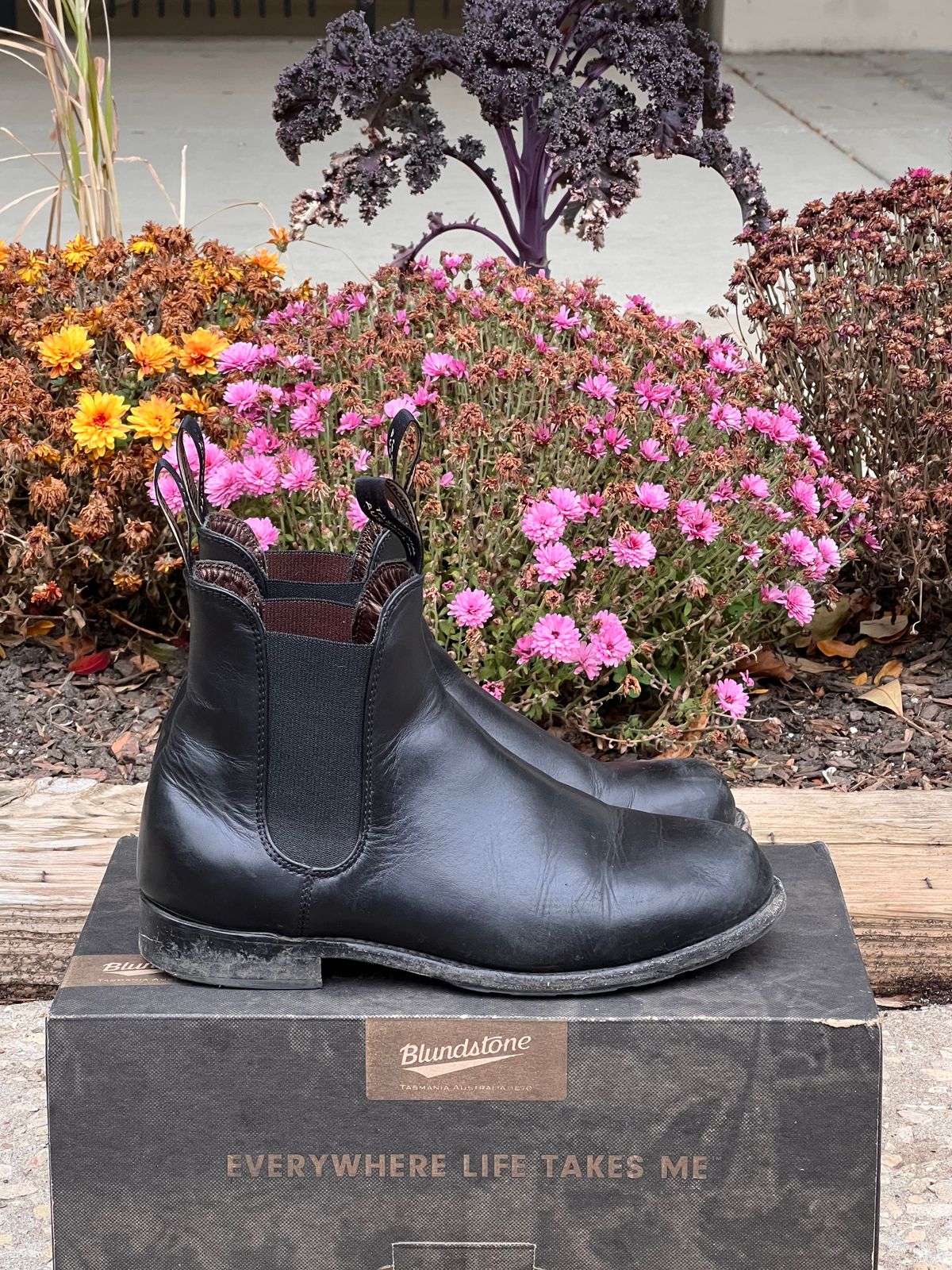 Photo by staphyloco on November 3, 2024 of the Blundstone Dress in Black.