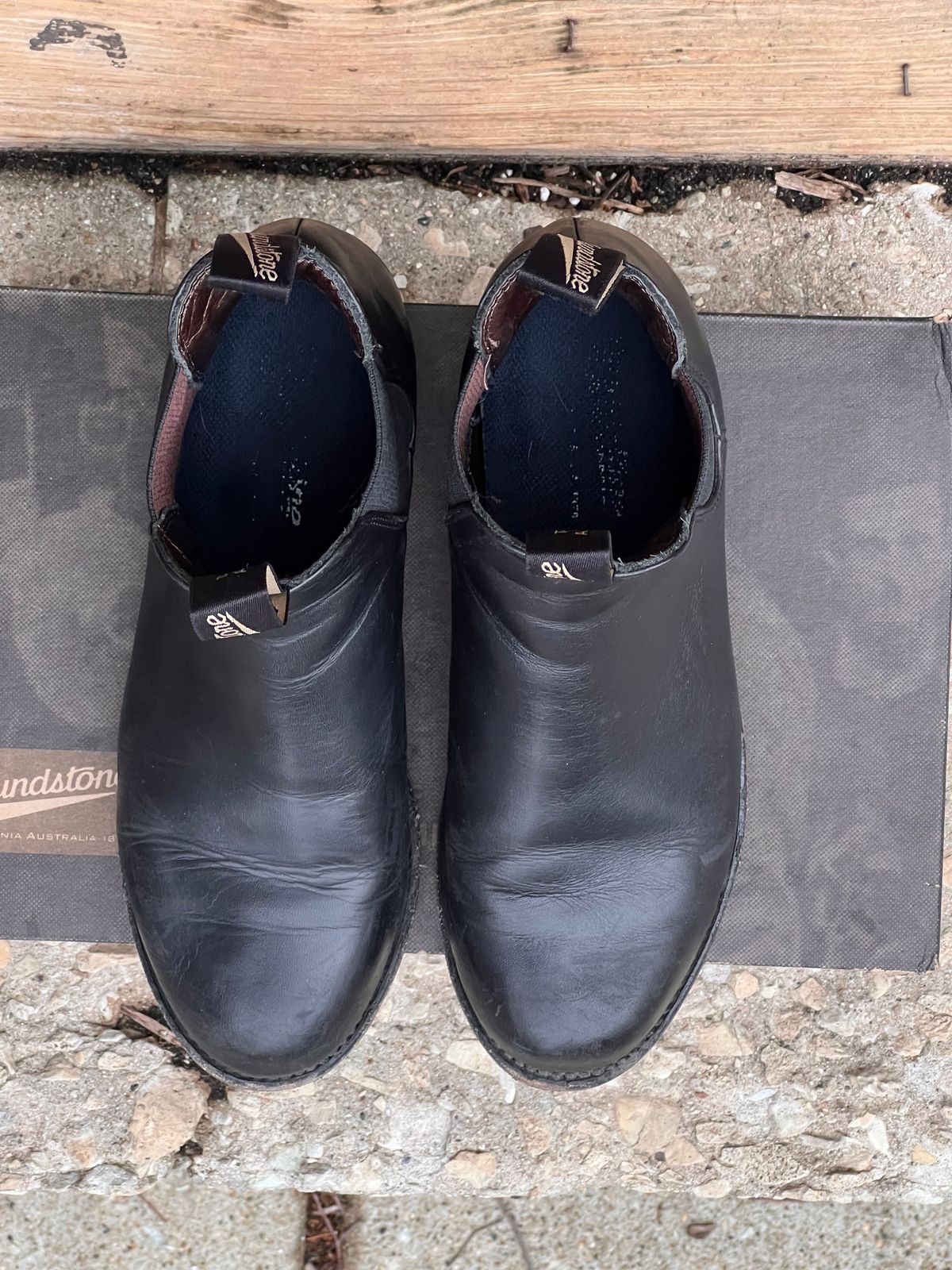Photo by staphyloco on November 3, 2024 of the Blundstone Dress in Black.