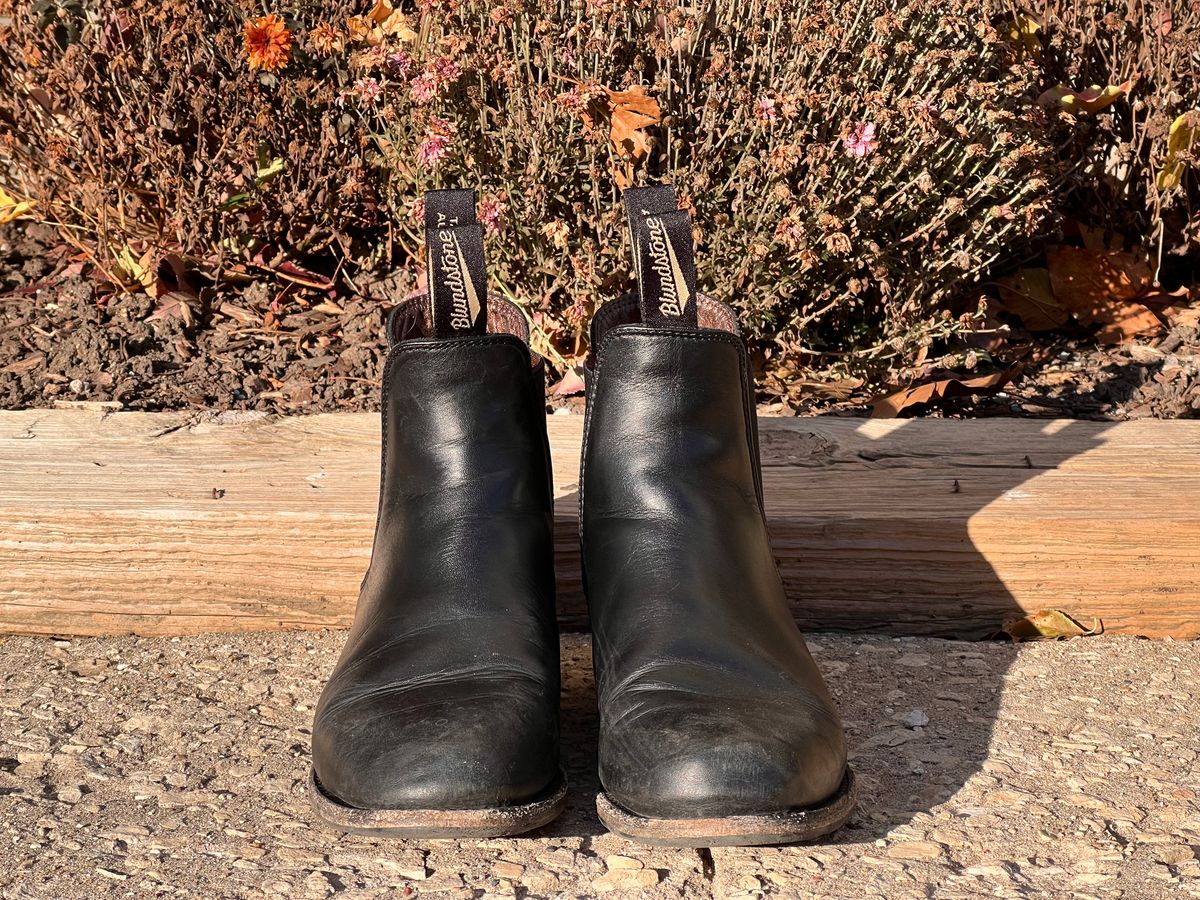 Photo by staphyloco on December 5, 2024 of the Blundstone Dress in Black.
