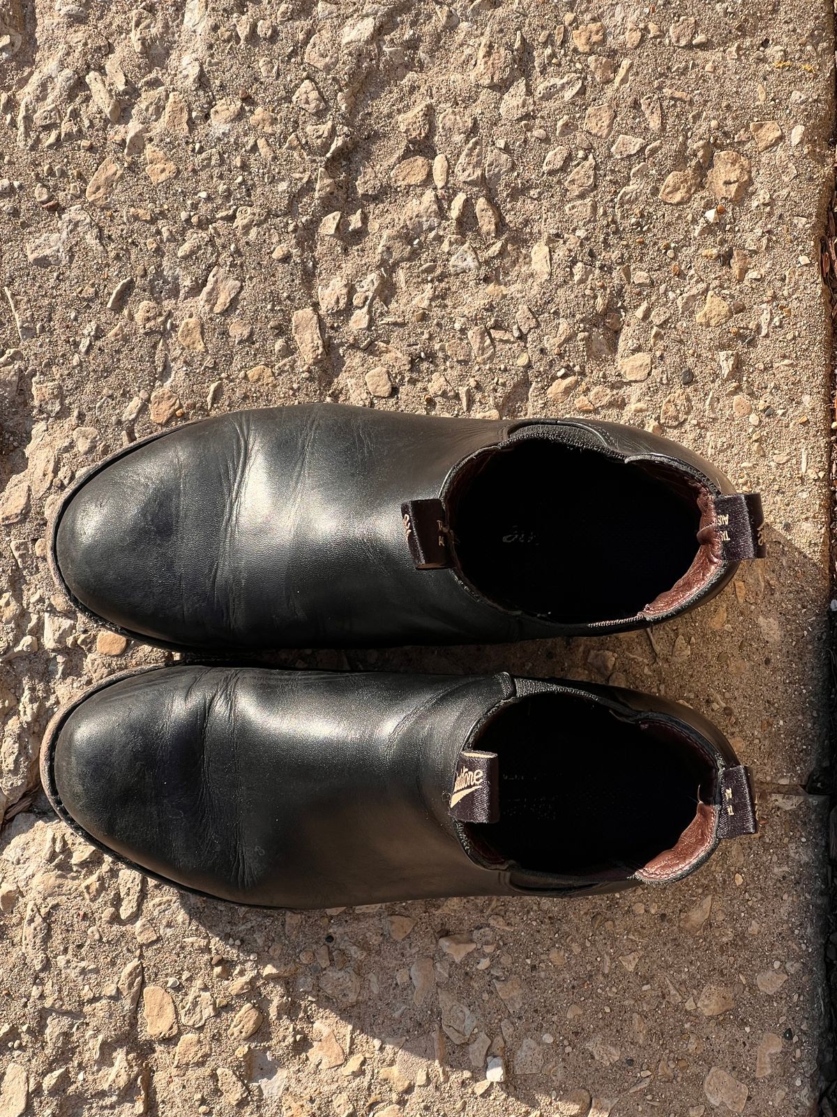 Photo by staphyloco on December 5, 2024 of the Blundstone Dress in Black.