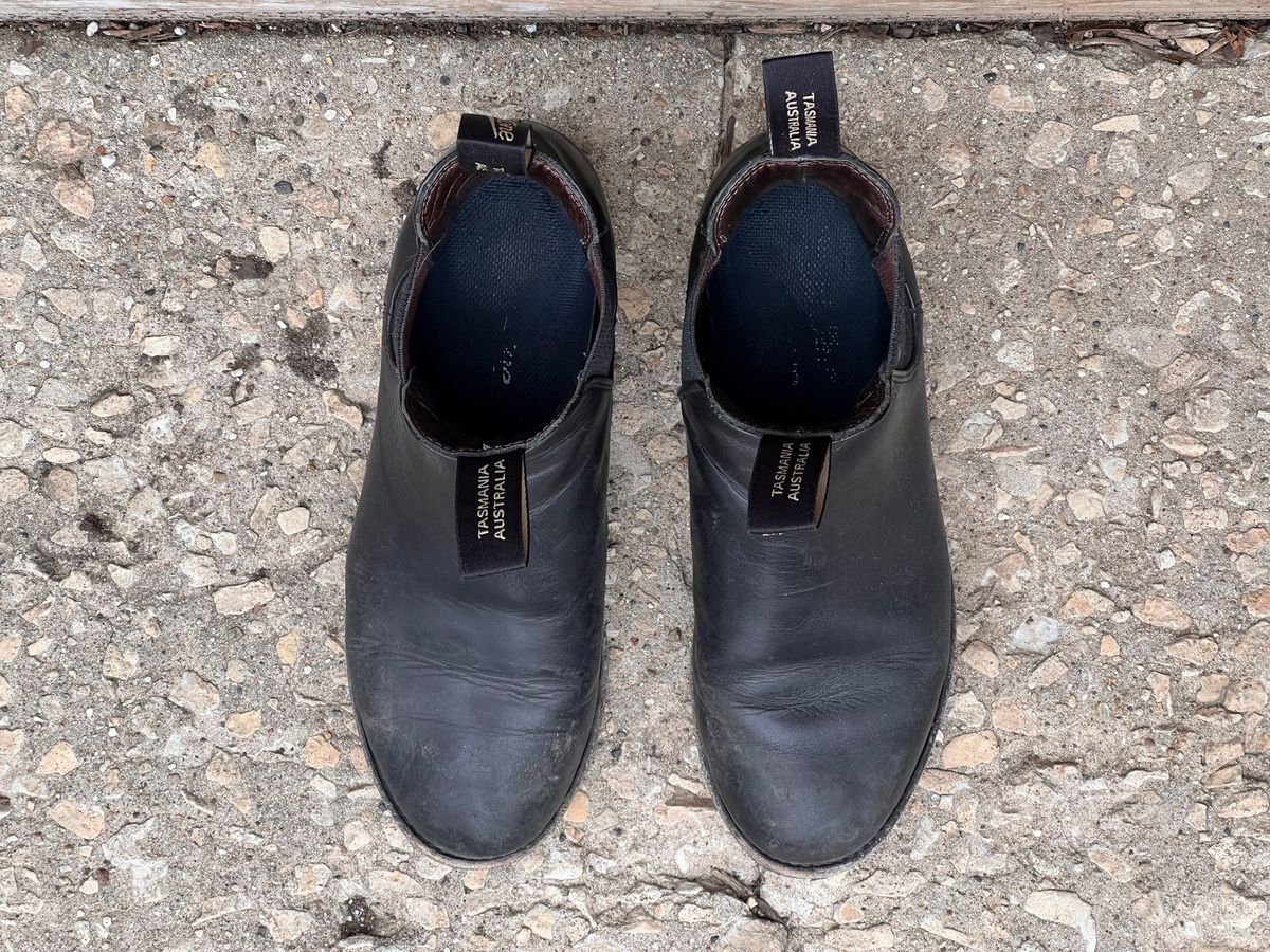 Photo by staphyloco on January 5, 2025 of the Blundstone Dress in Black.