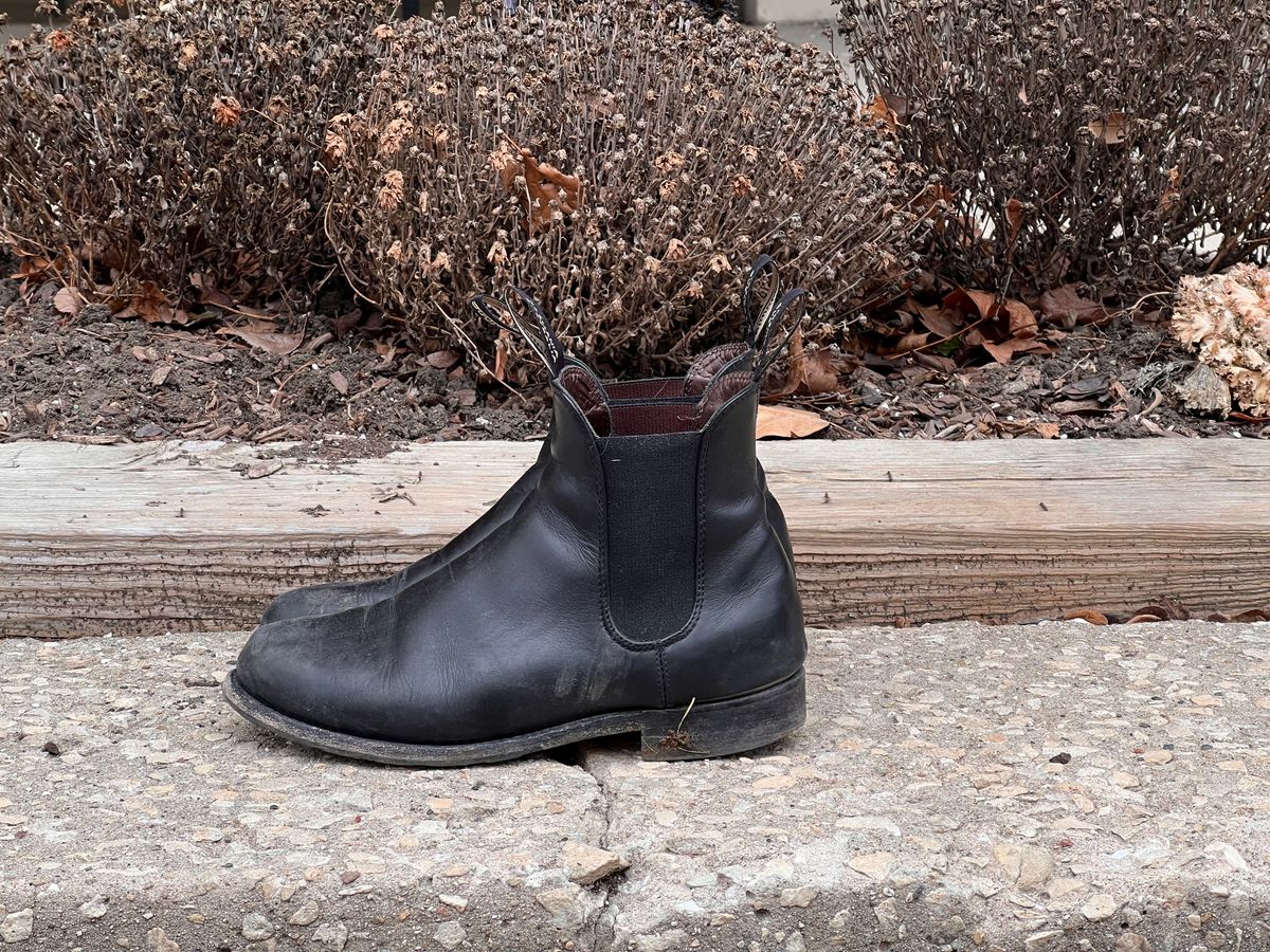 Photo by staphyloco on January 5, 2025 of the Blundstone Dress in Black.