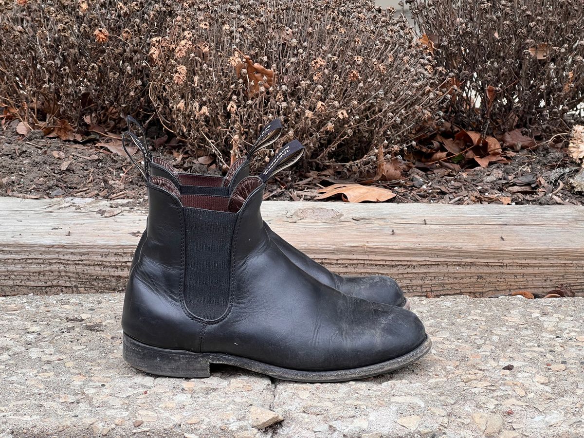 Photo by staphyloco on January 5, 2025 of the Blundstone Dress in Black.