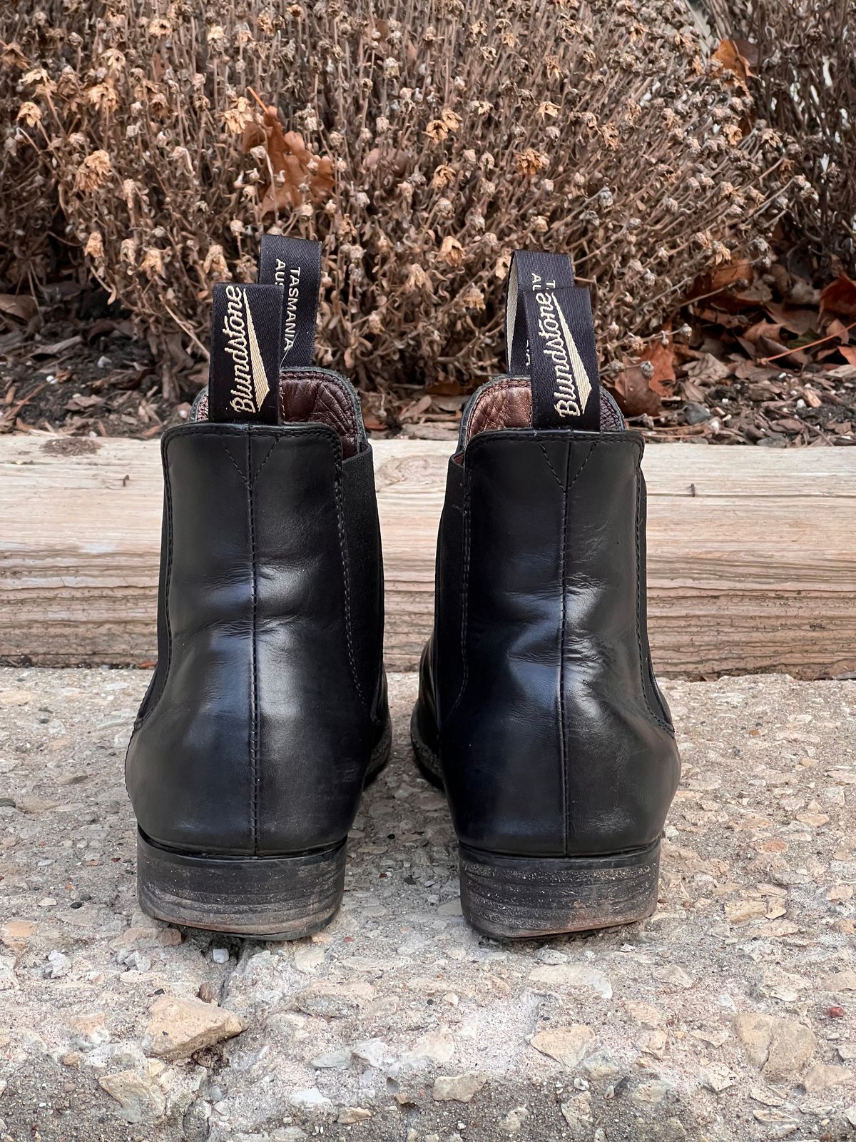 Photo by staphyloco on February 4, 2025 of the Blundstone Dress in Black.
