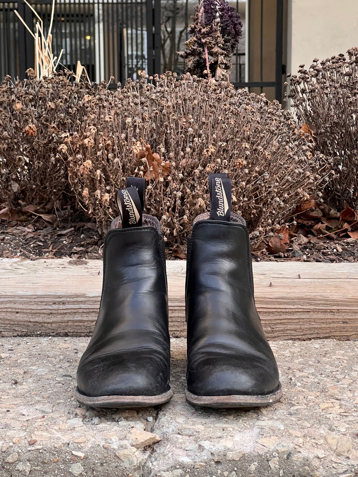 Photo by staphyloco on February 4, 2025 of the Blundstone Dress in Black.