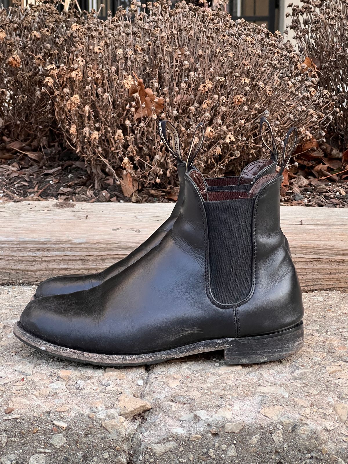 Photo by staphyloco on February 4, 2025 of the Blundstone Dress in Black.