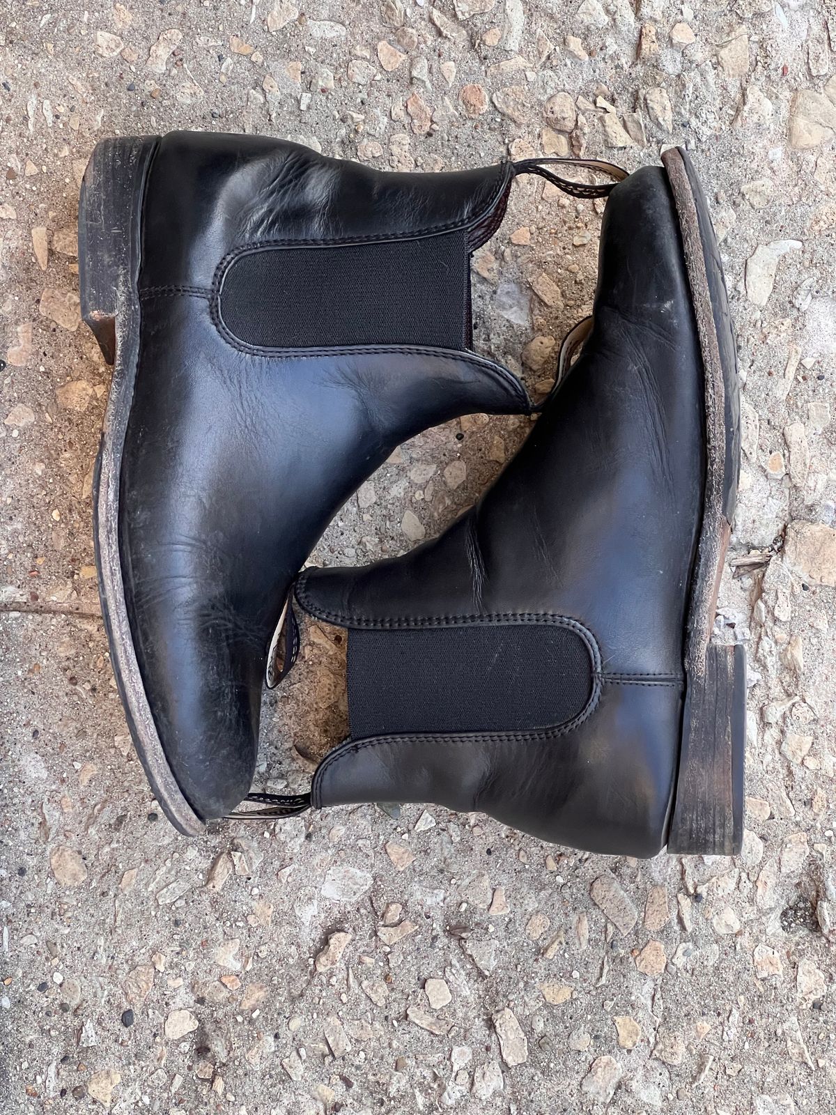 Photo by staphyloco on February 4, 2025 of the Blundstone Dress in Black.