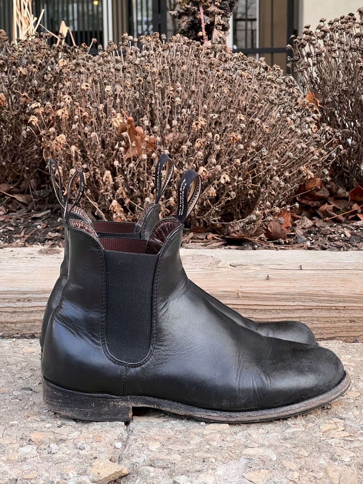 Photo by staphyloco on February 4, 2025 of the Blundstone Dress in Black.