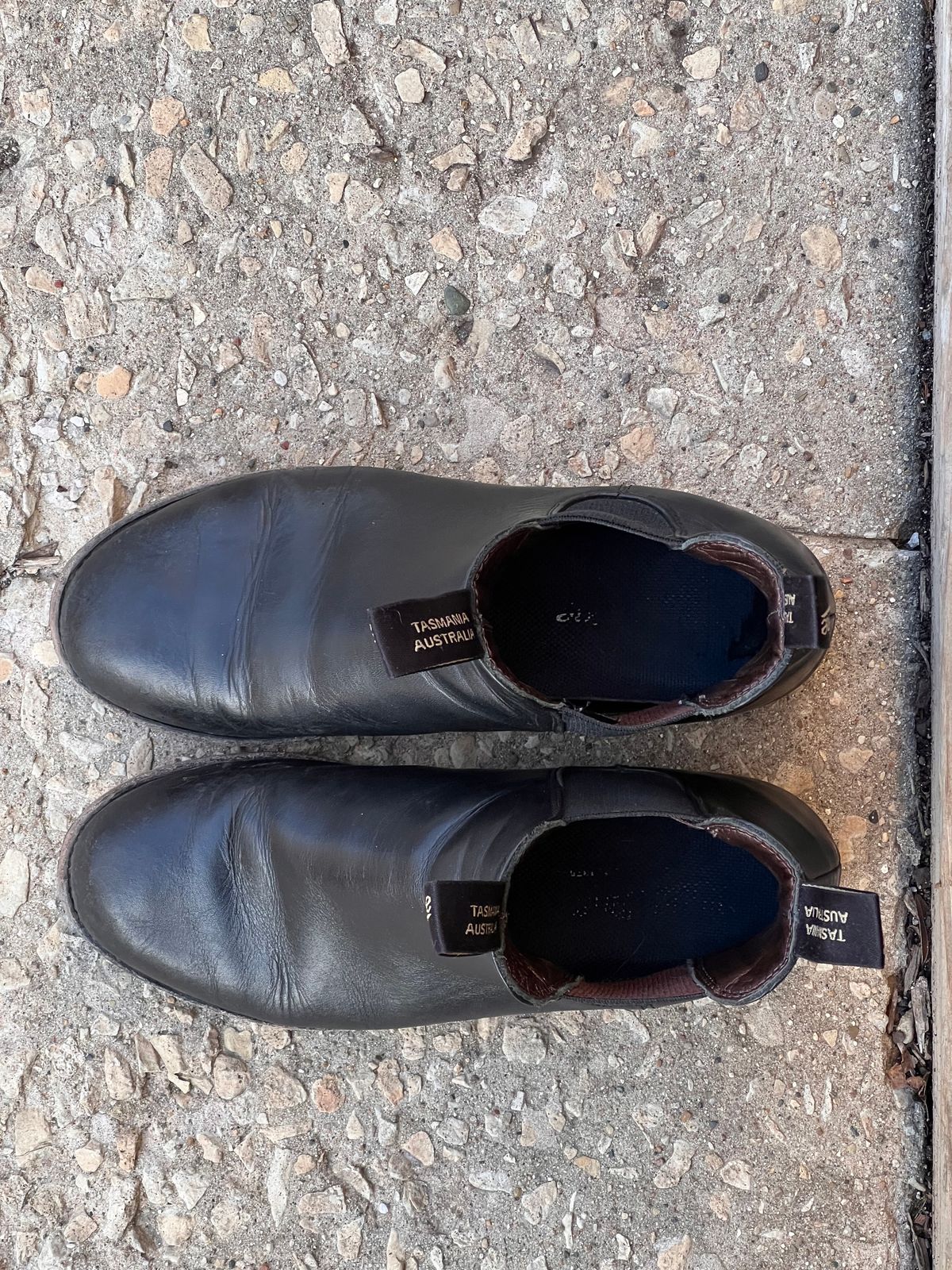 Photo by staphyloco on February 4, 2025 of the Blundstone Dress in Black.