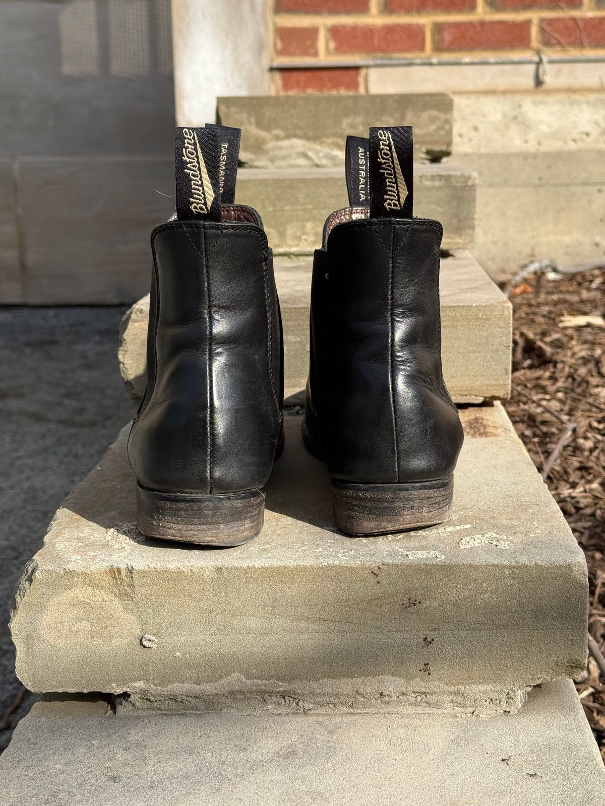 Photo by staphyloco on March 3, 2025 of the Blundstone Dress in Black.
