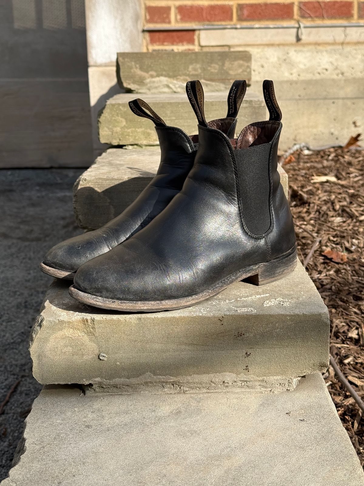 Photo by staphyloco on March 3, 2025 of the Blundstone Dress in Black.